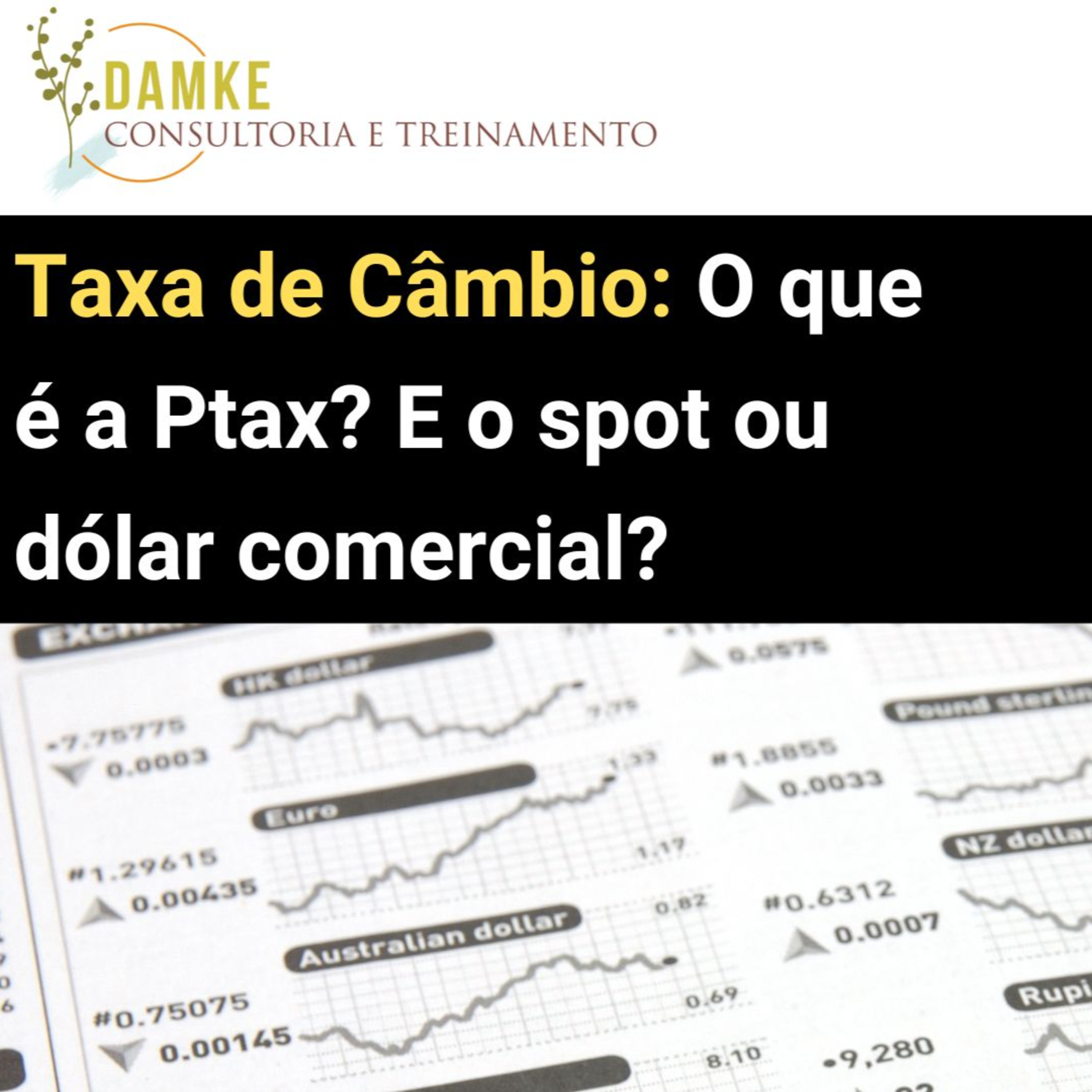 Damke Consultoria e Treinamento