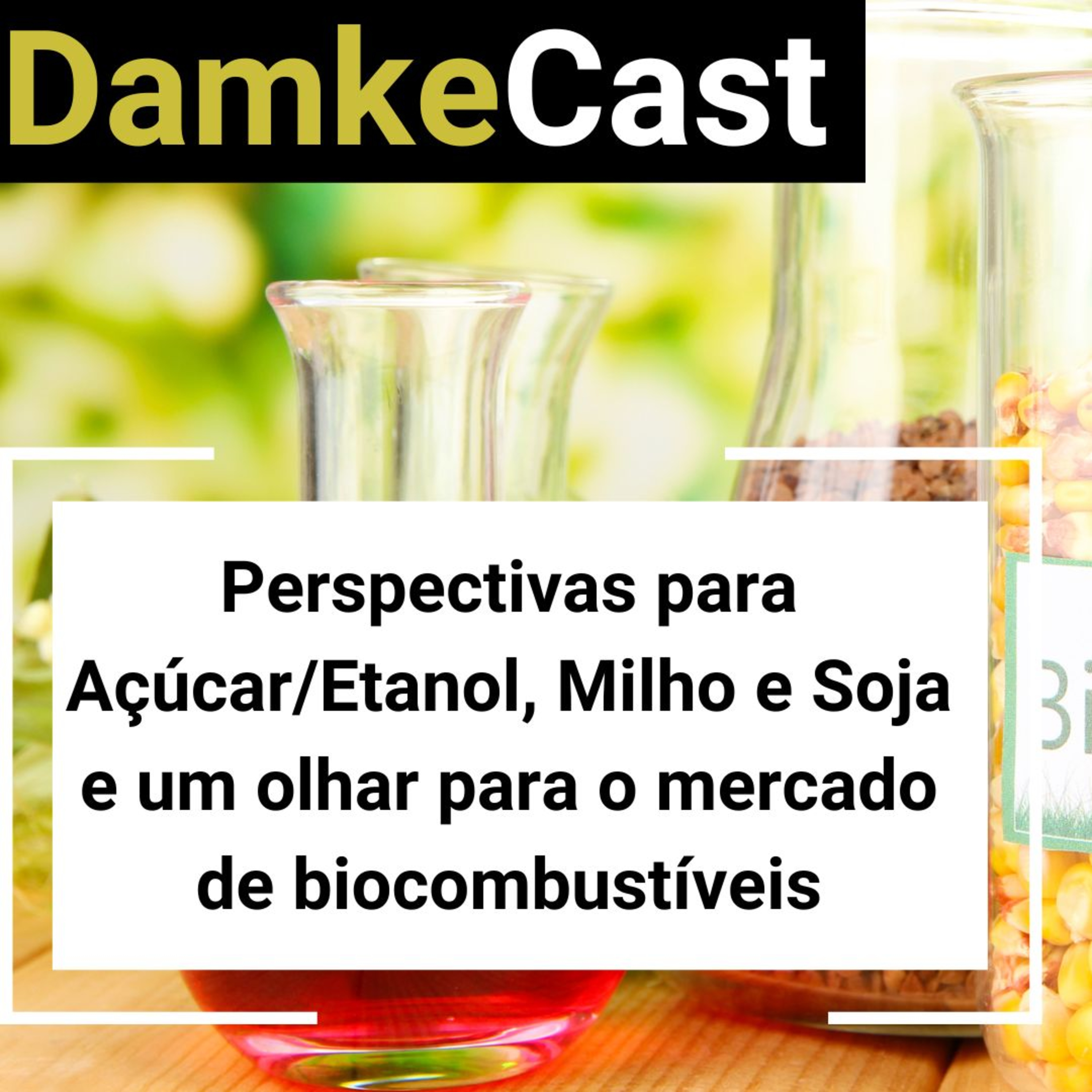 Damke Consultoria e Treinamento