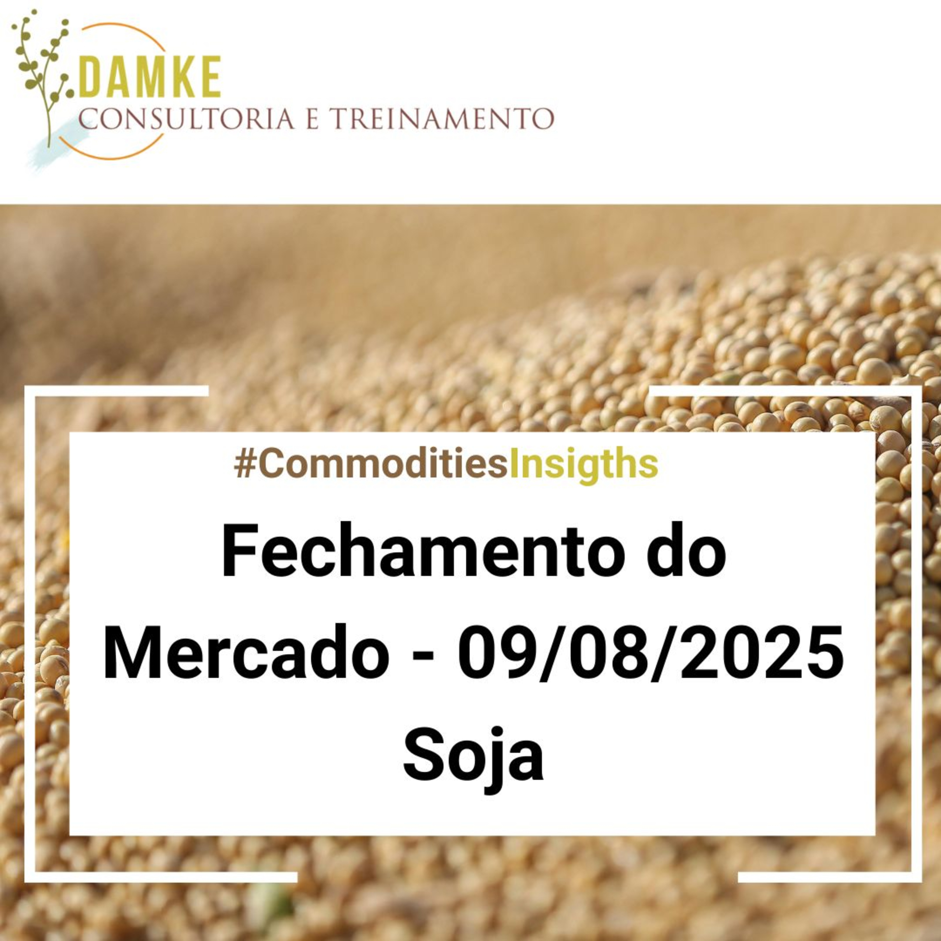 Damke Consultoria e Treinamento