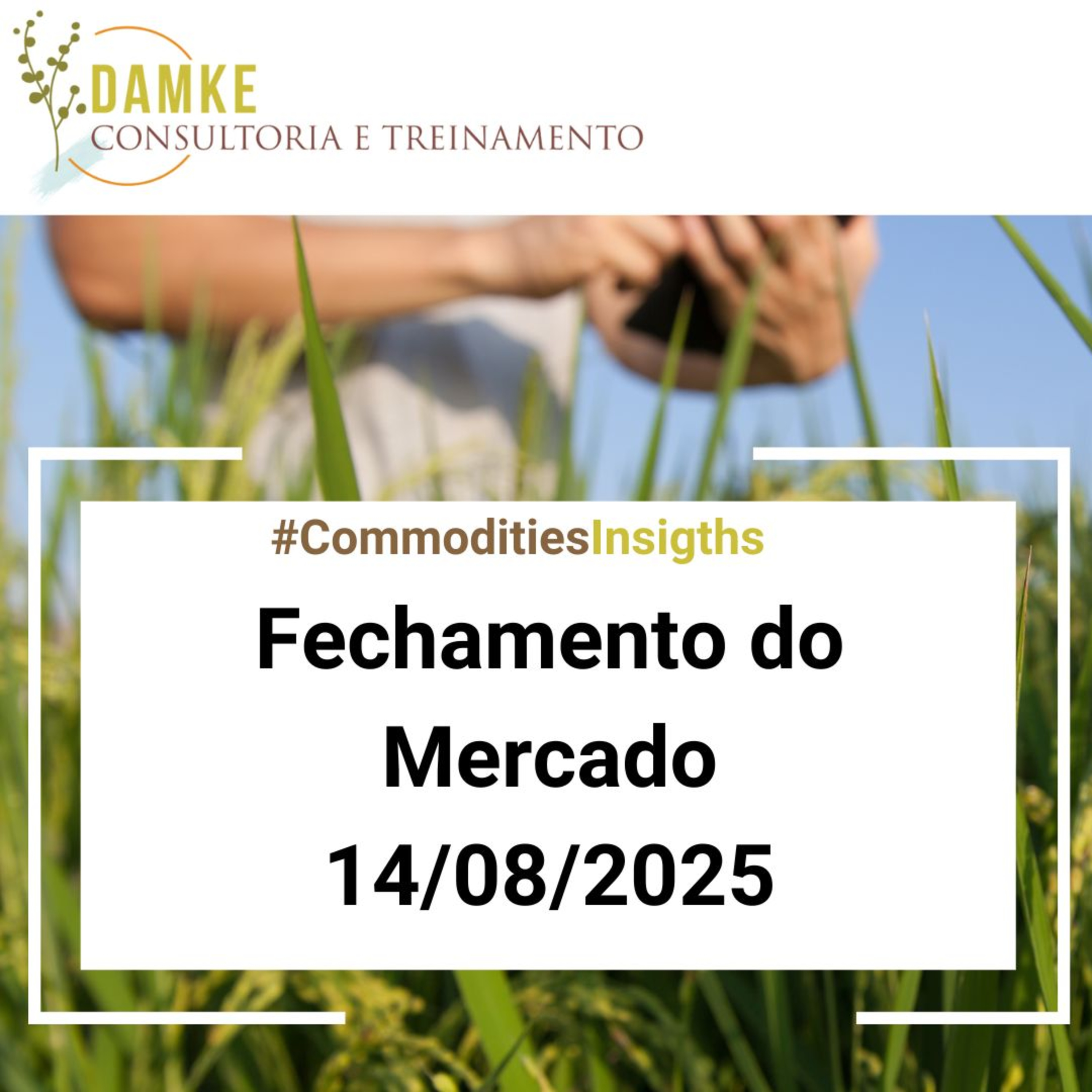 Damke Consultoria e Treinamento