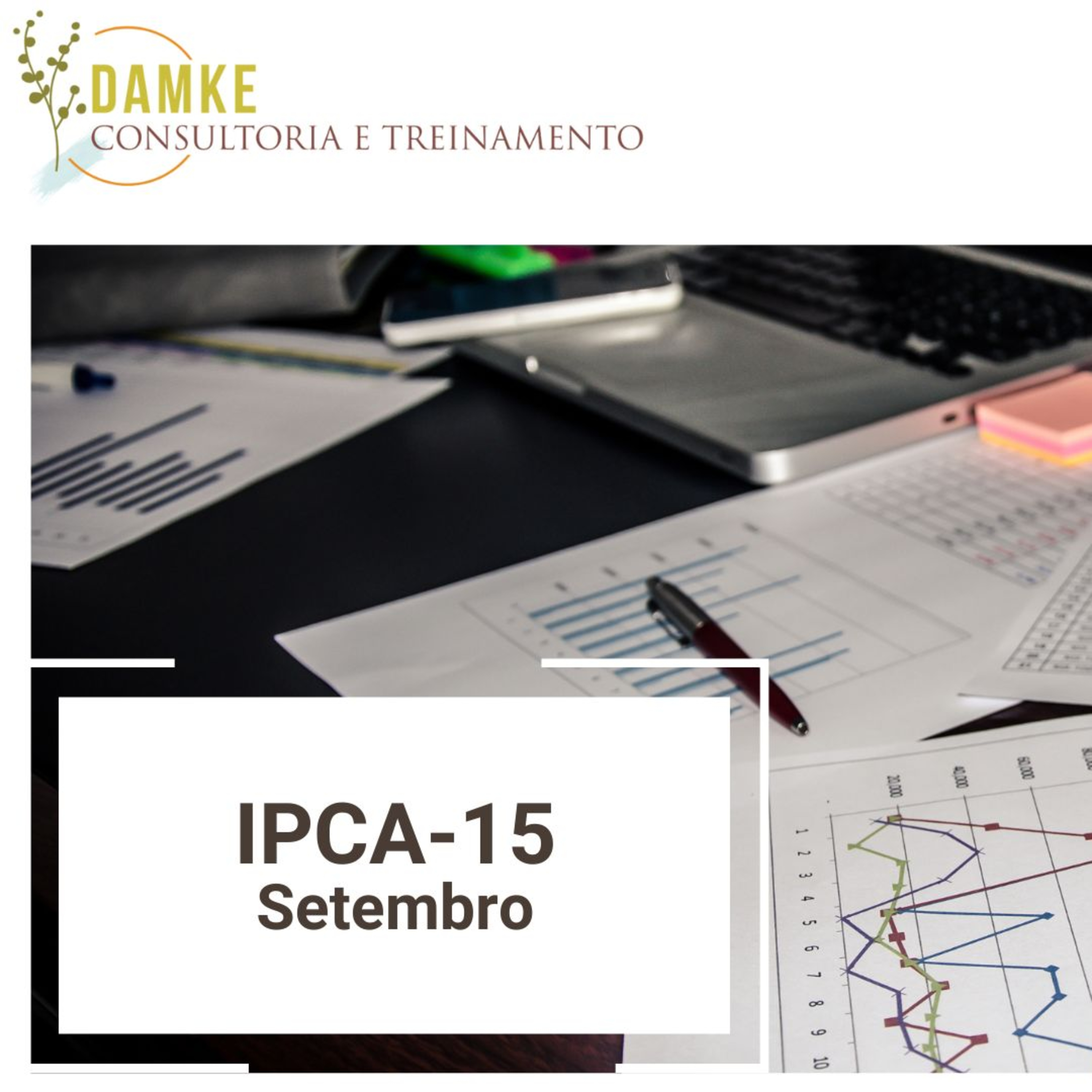 Damke Consultoria e Treinamento