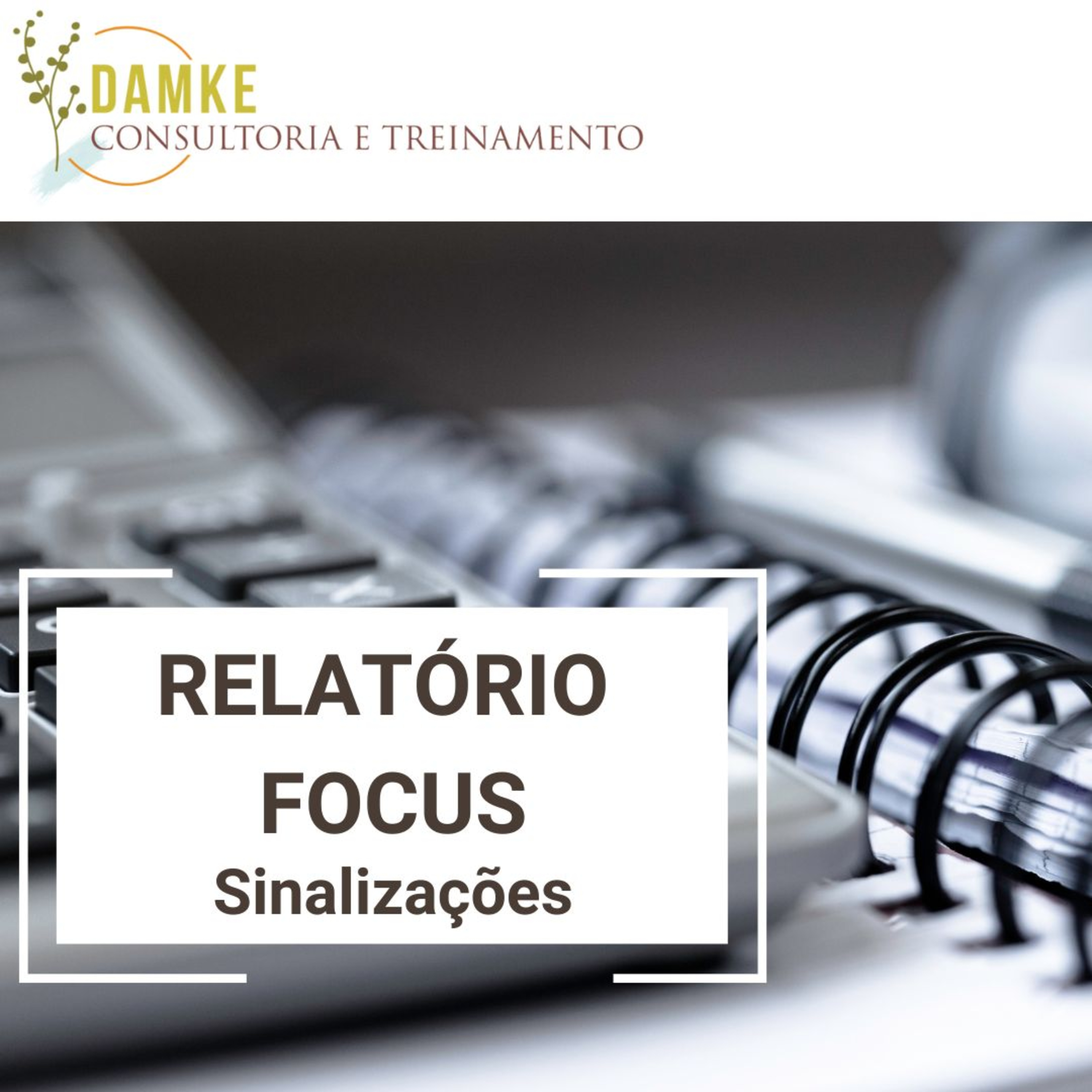 Damke Consultoria e Treinamento