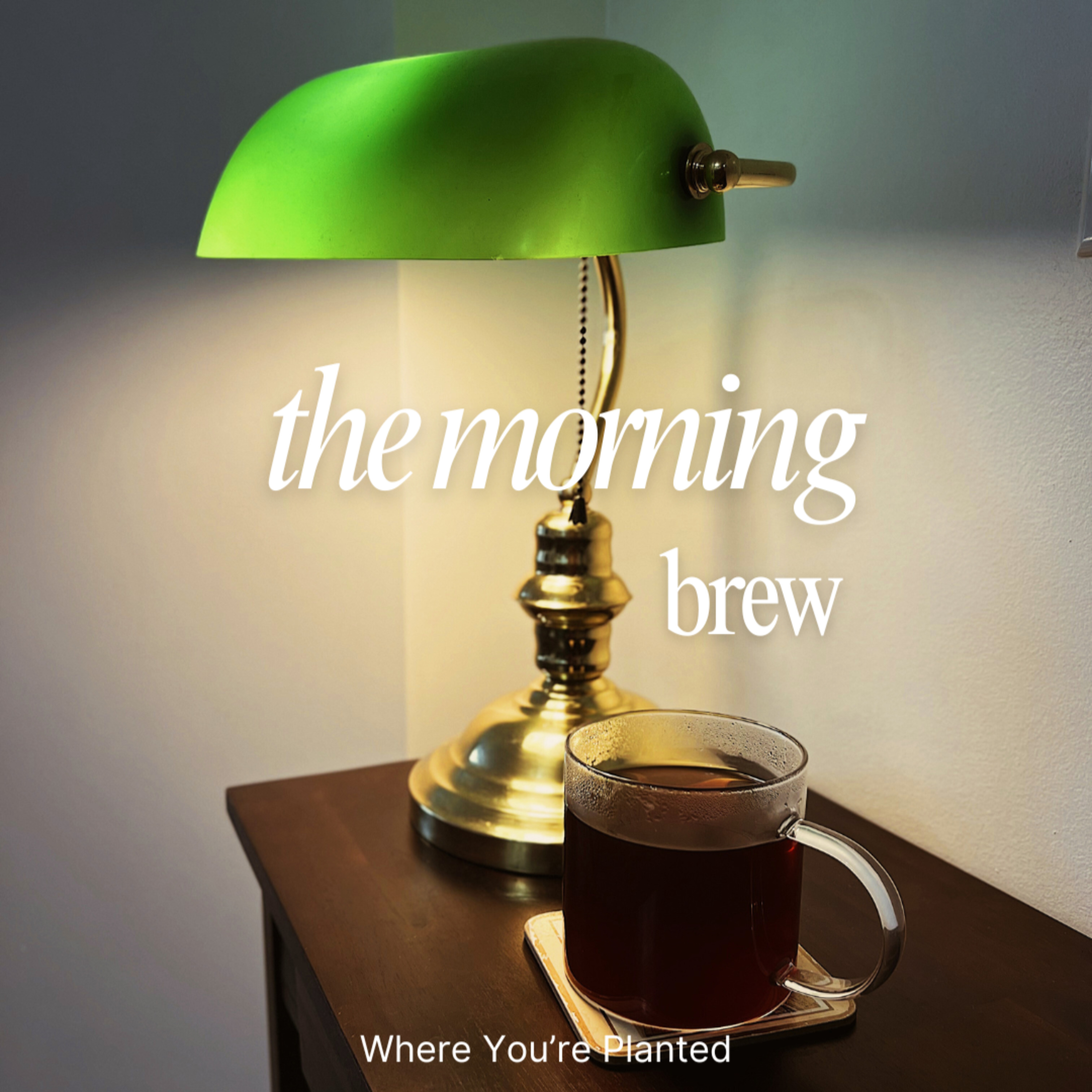 The Morning Brew ☕️ #8: The Quiet Power of a Q1 Reset