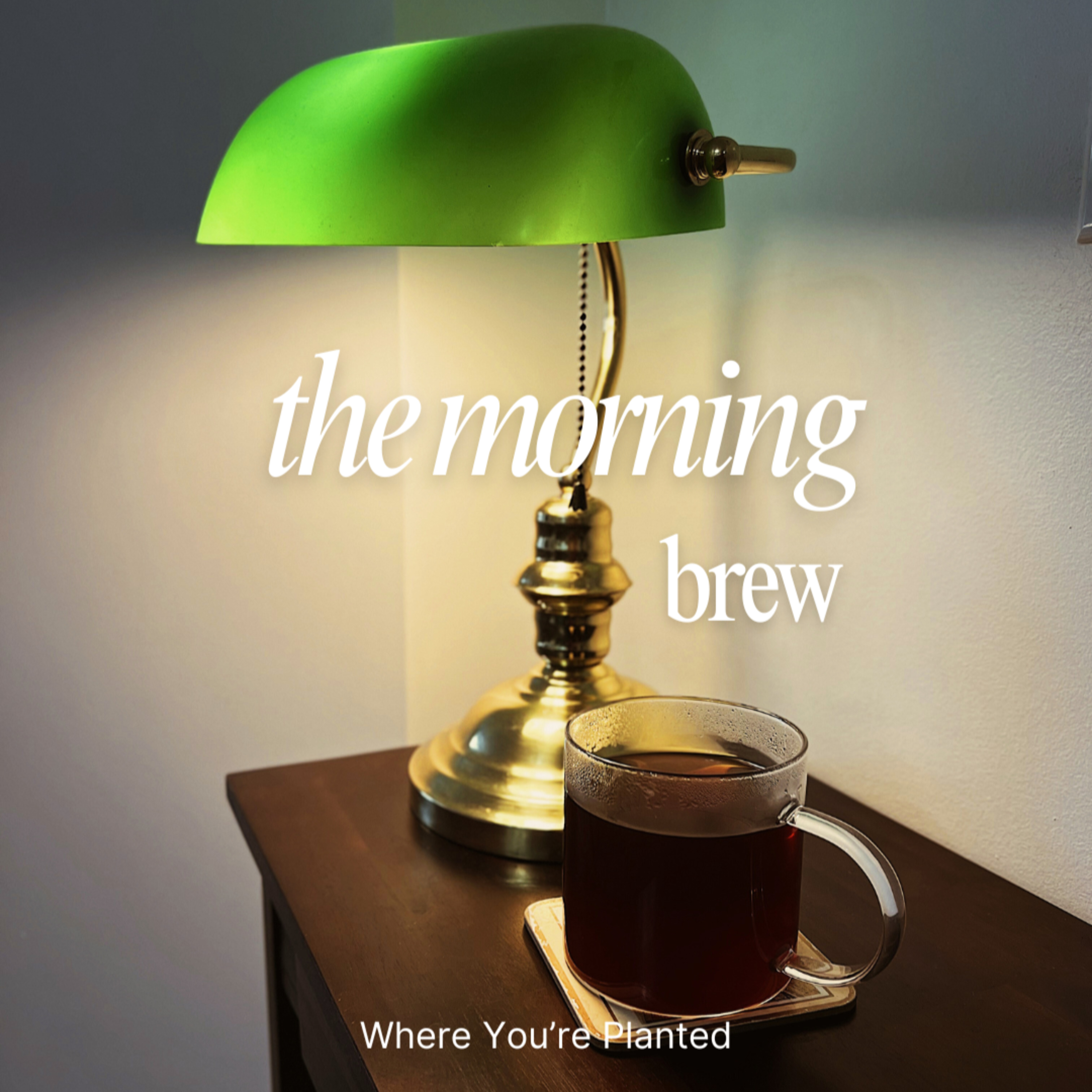 The Morning Brew ☕️ #11: Finishing the Quarter with Self-Respect