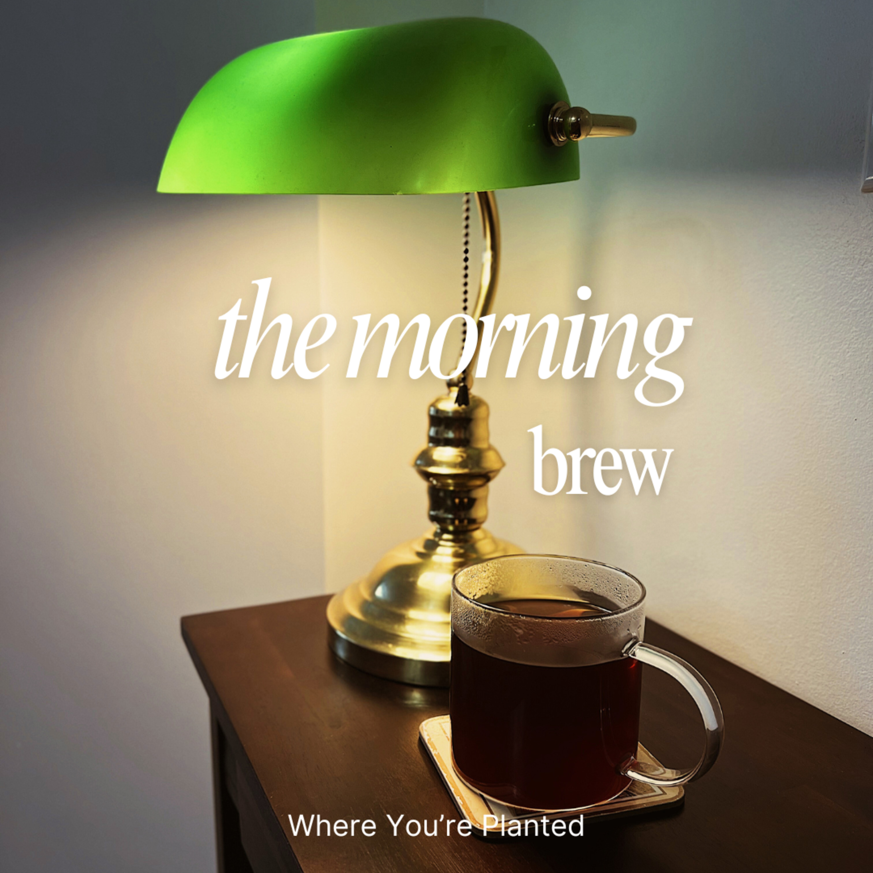 The Morning Brew ☕️ #13: the friend you need vs. the friend you want to be