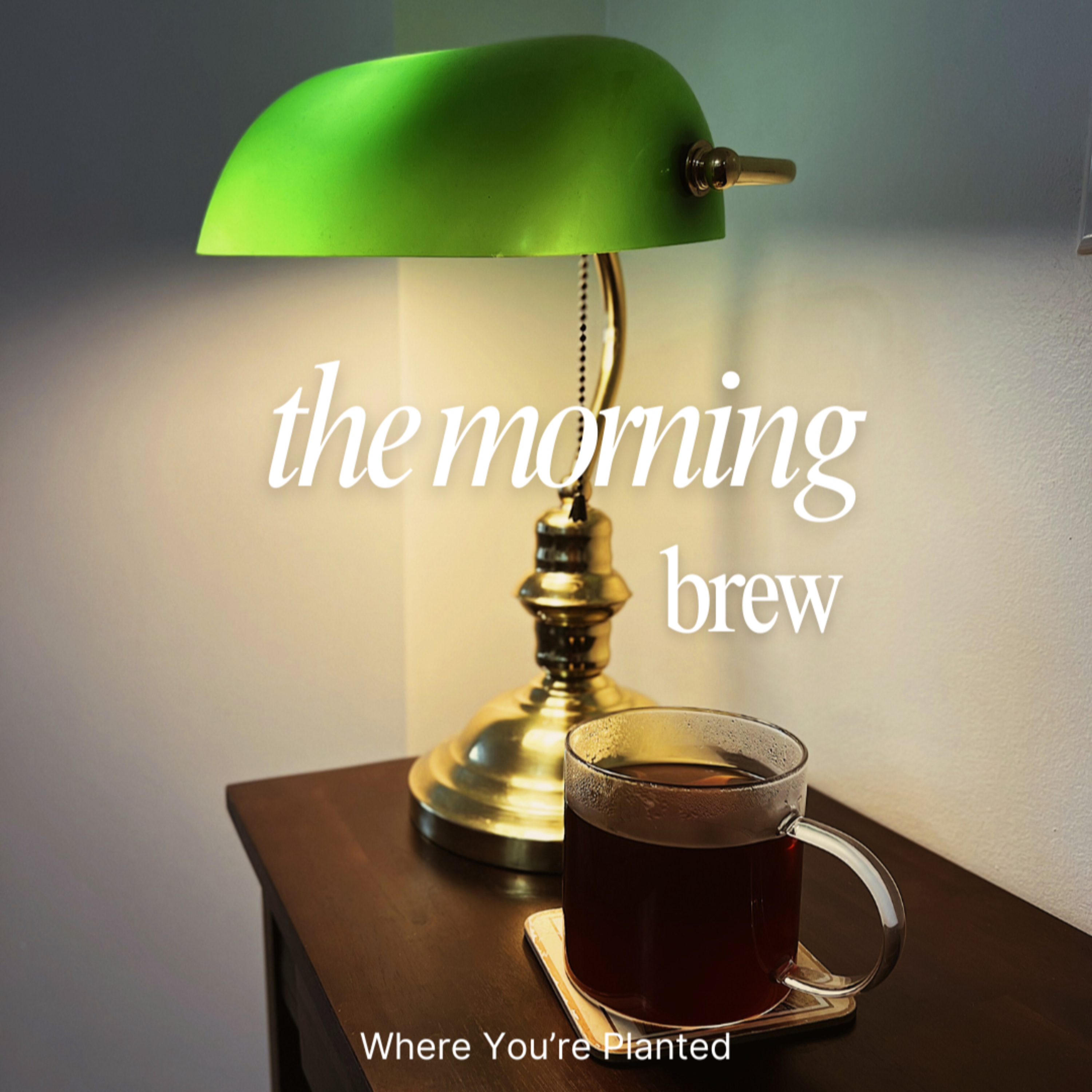 The Morning Brew ☕️ #18: The People who drain you are showing you something episode artwork
