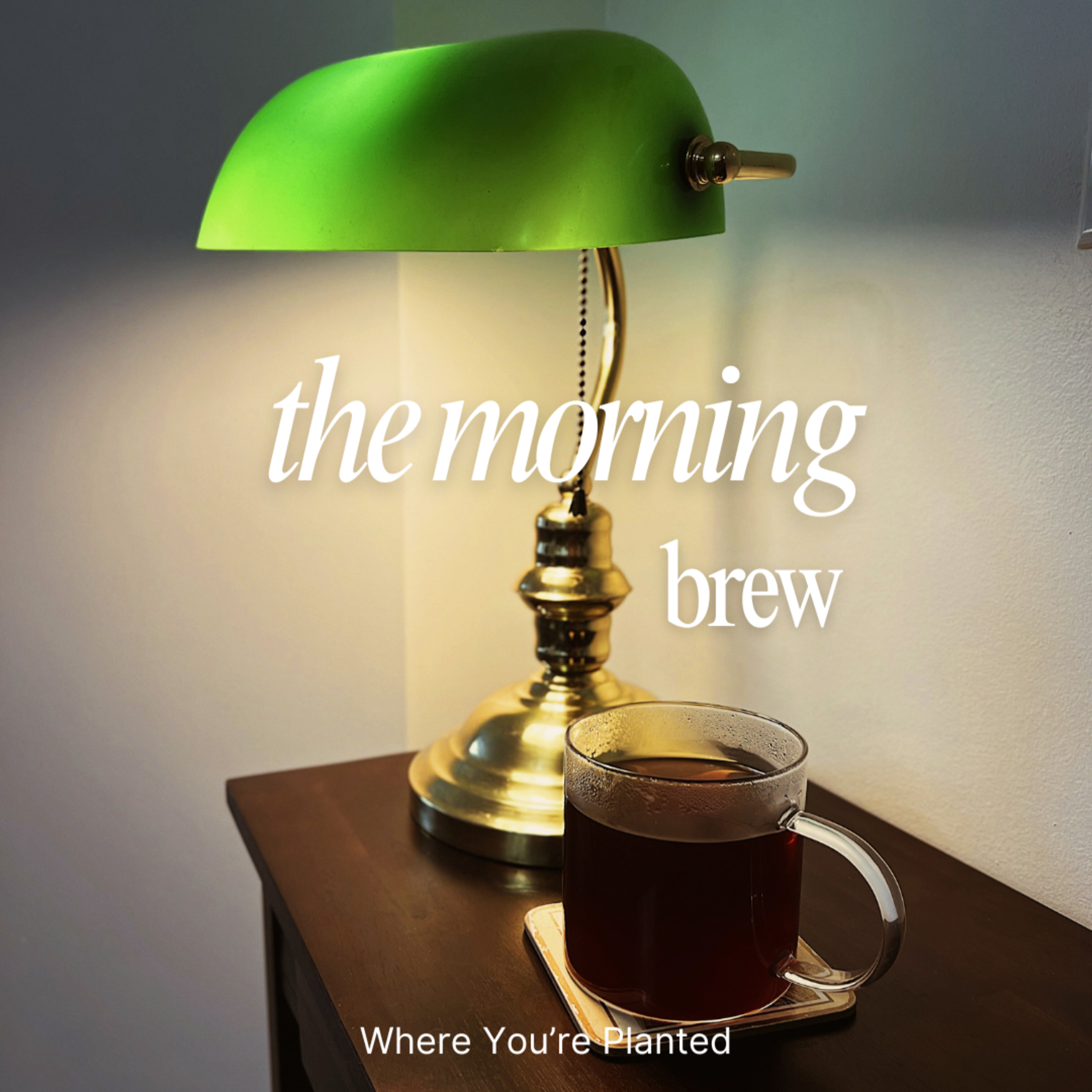 The Morning Brew ☕️ #24: What Living Within Your Means Actually Means episode artwork