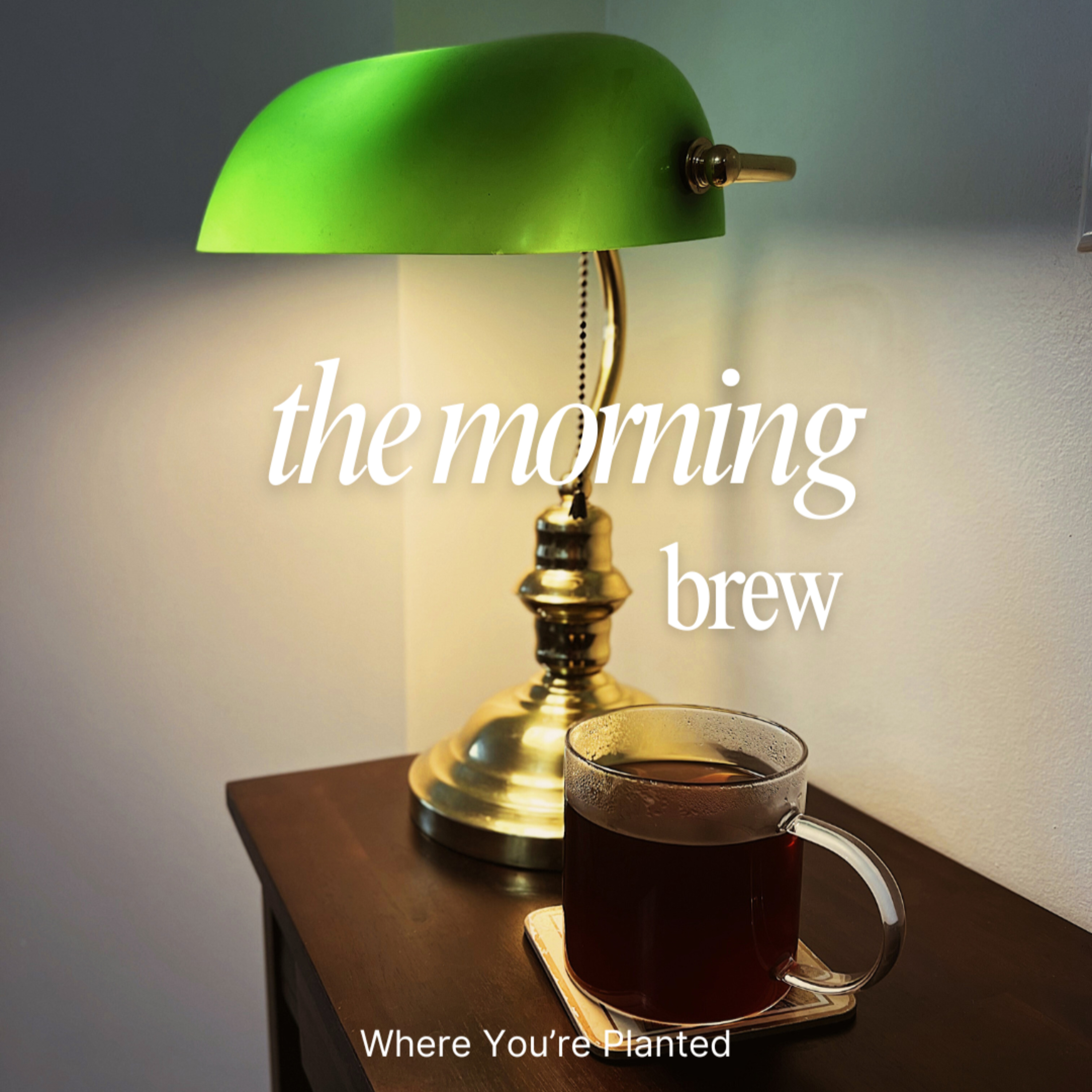 The Morning Brew ☕️ #25: Summer Rest Isn’t Laziness episode artwork
