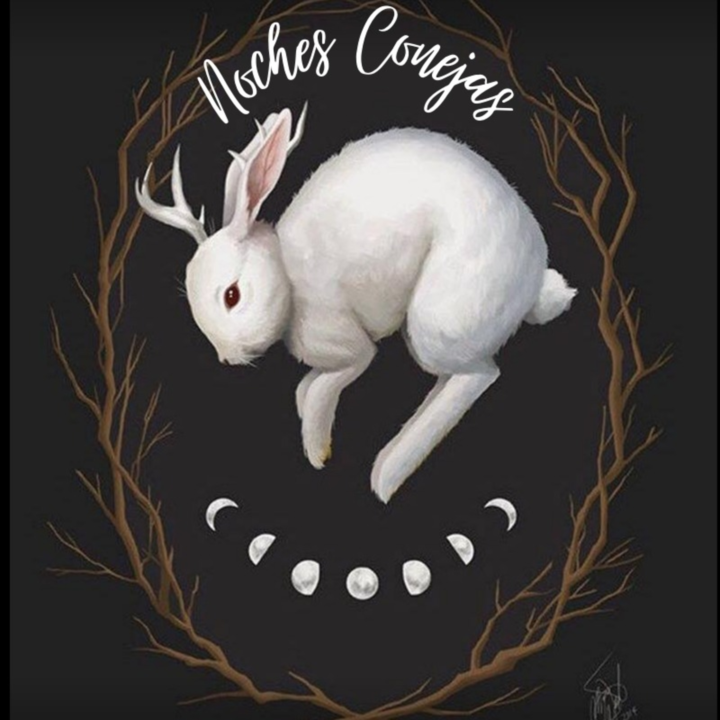 Noches Conejas