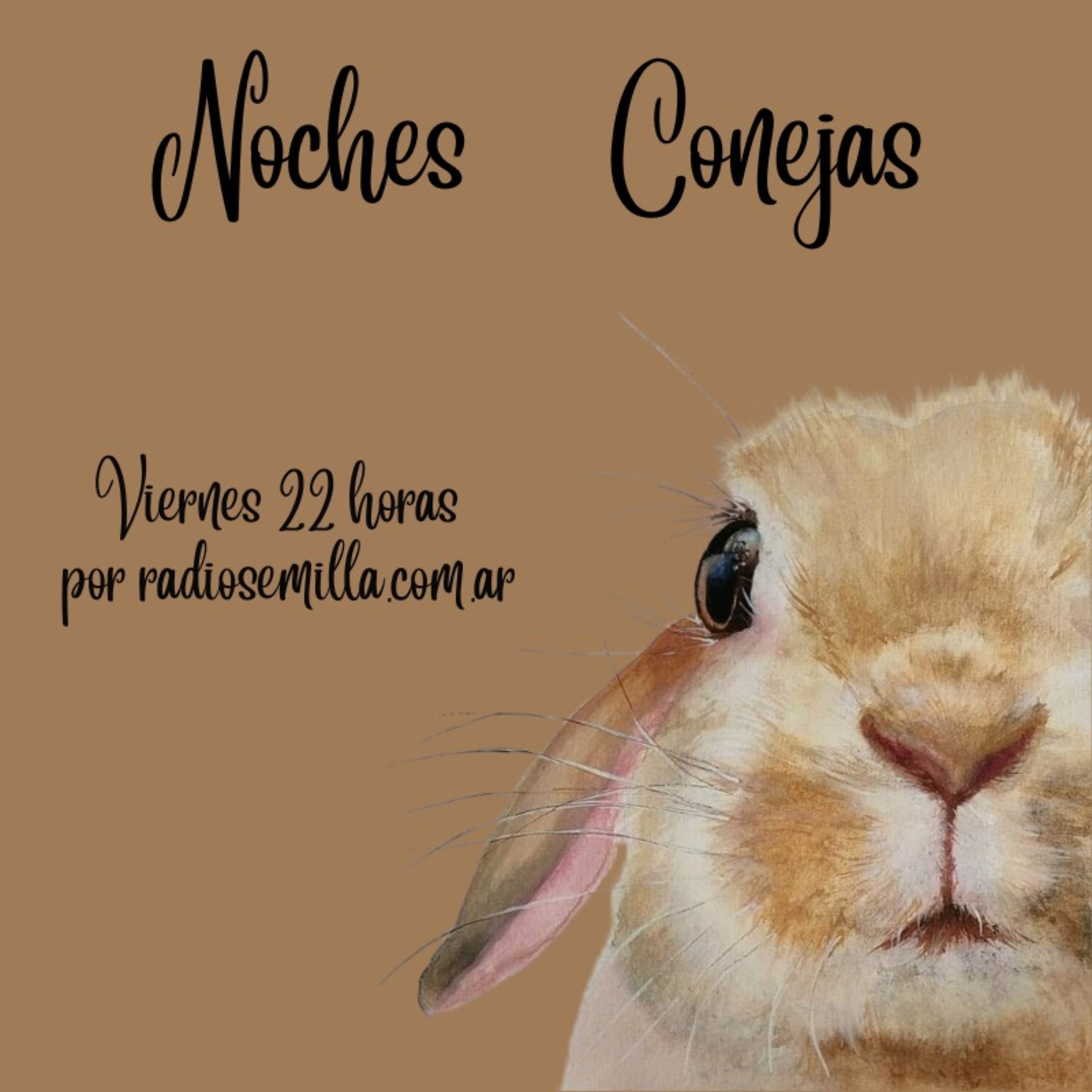 Noches Conejas