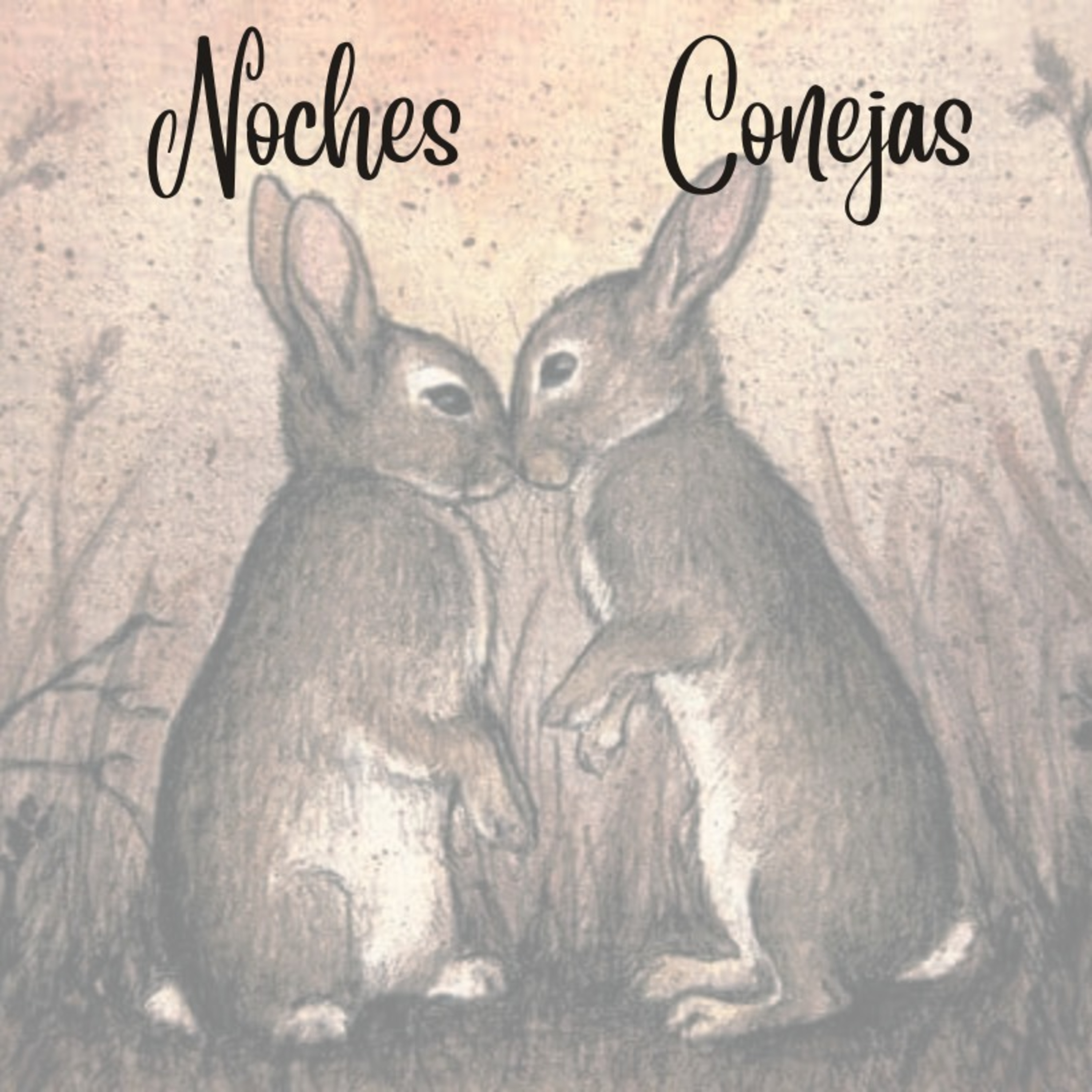 Noches Conejas