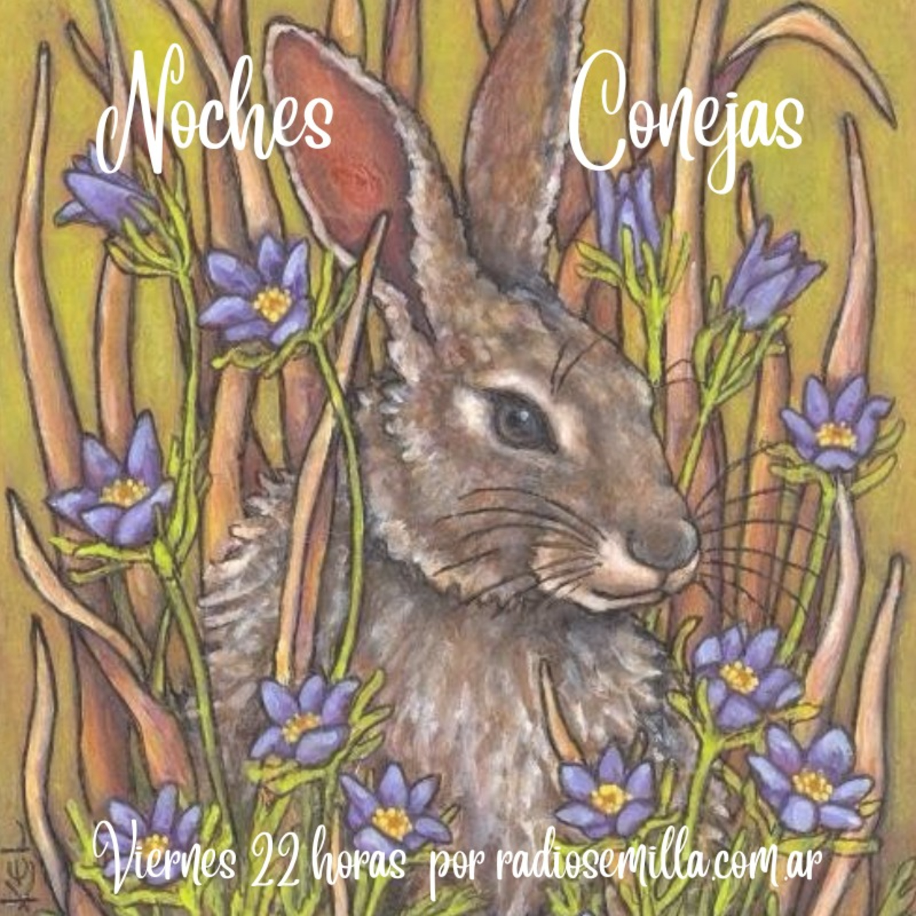 Noches Conejas