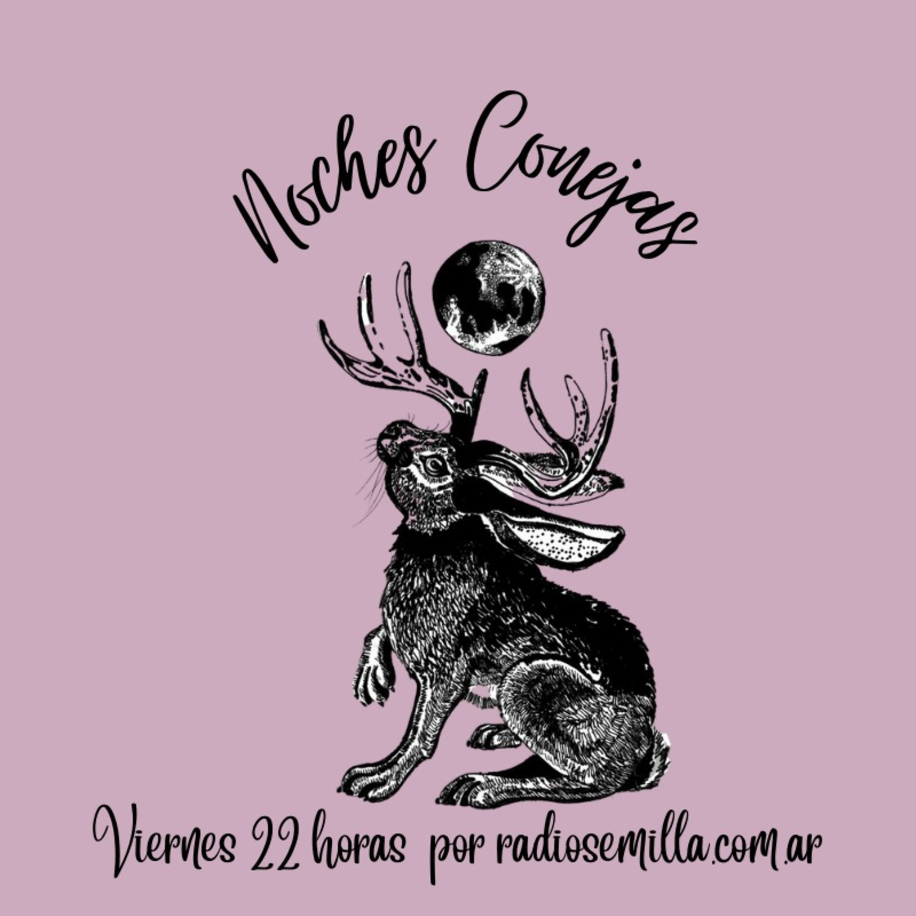 Noches Conejas