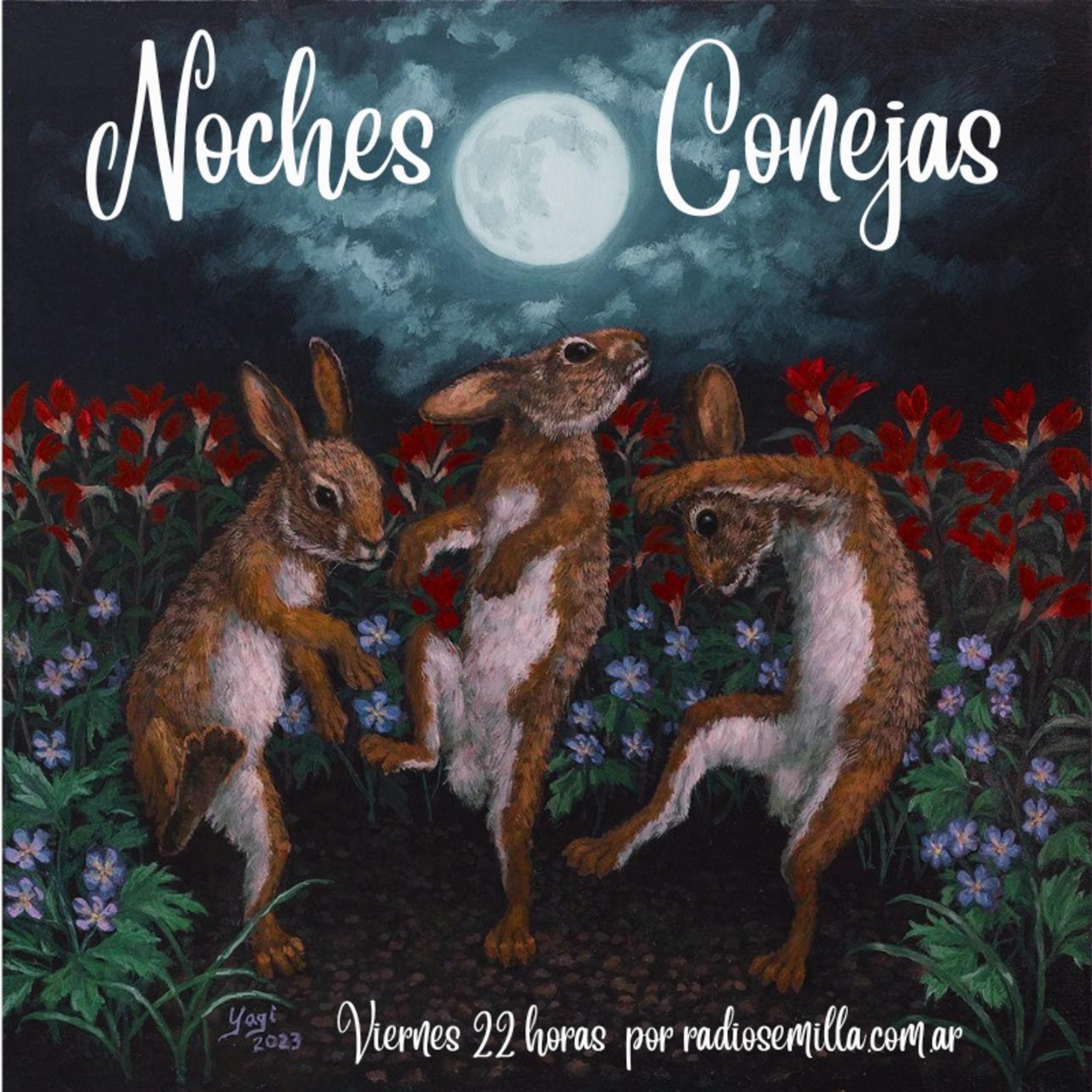 Noches Conejas
