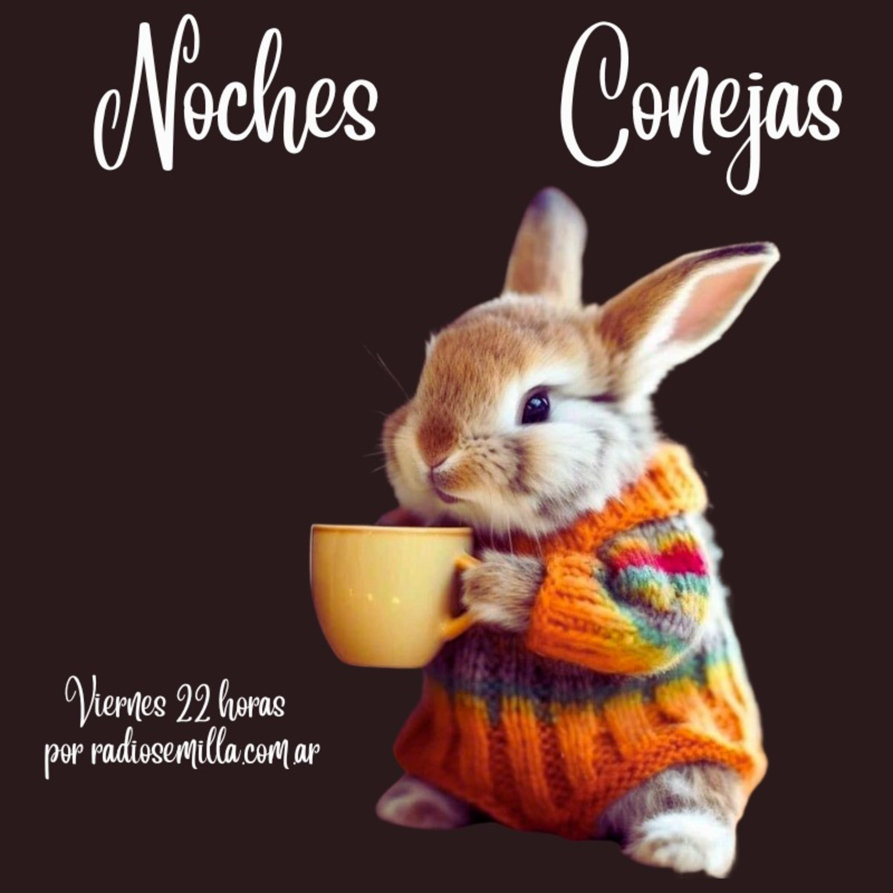 Noches Conejas