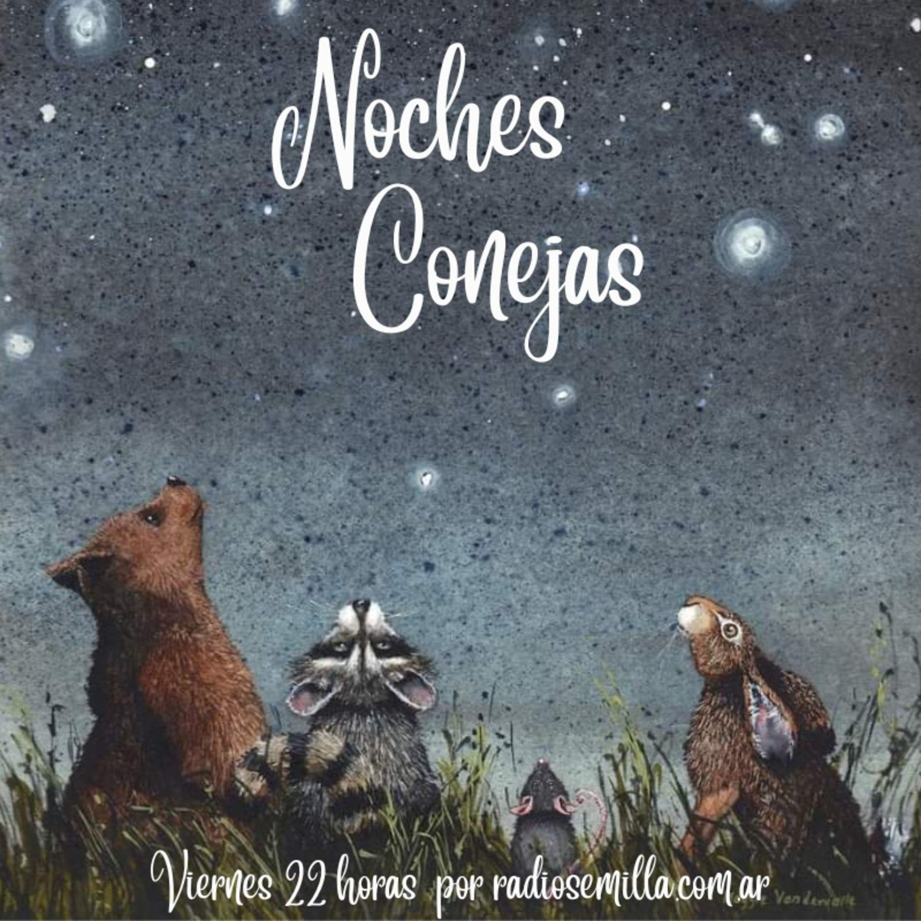 Noches Conejas