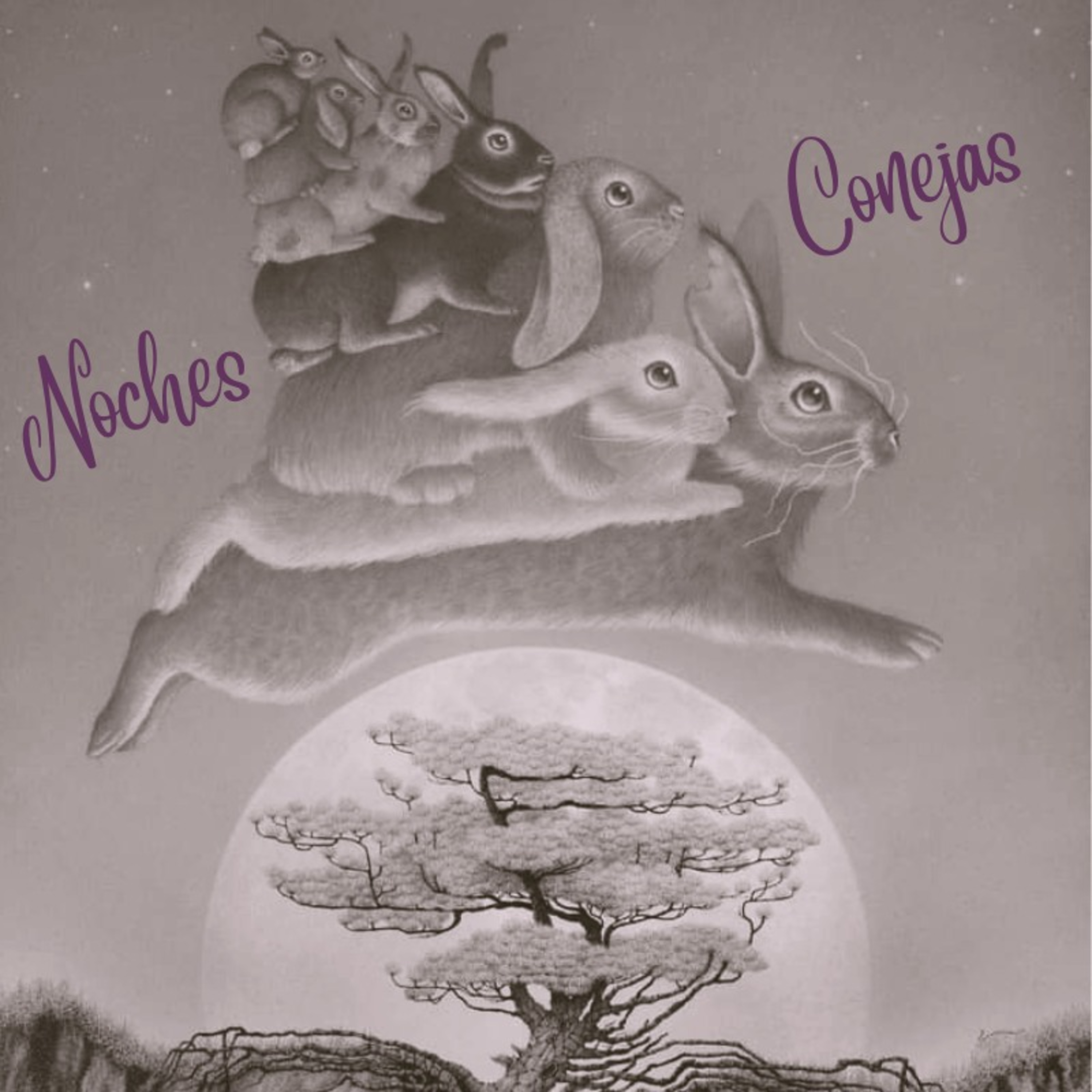 Noches Conejas