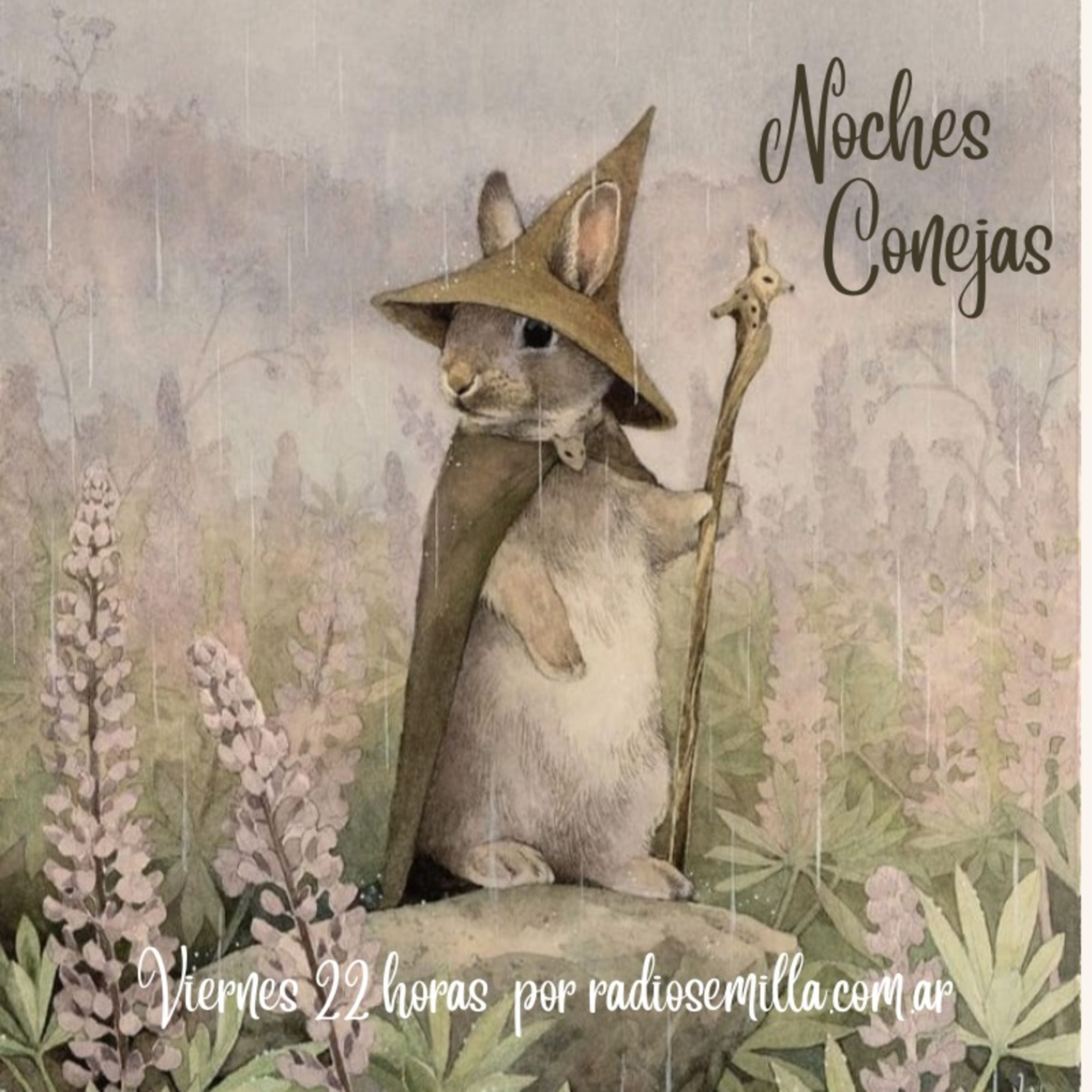 Noches Conejas