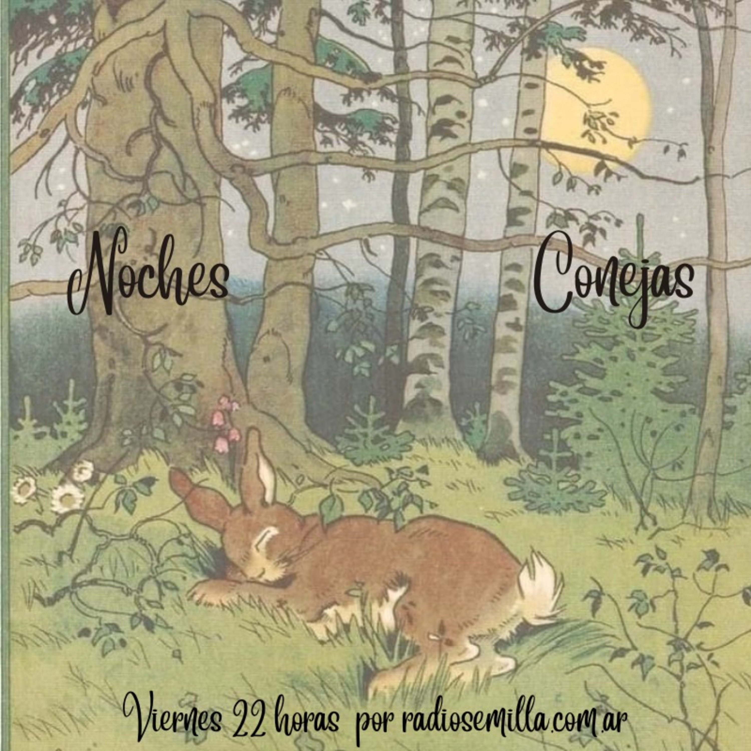 Noches Conejas