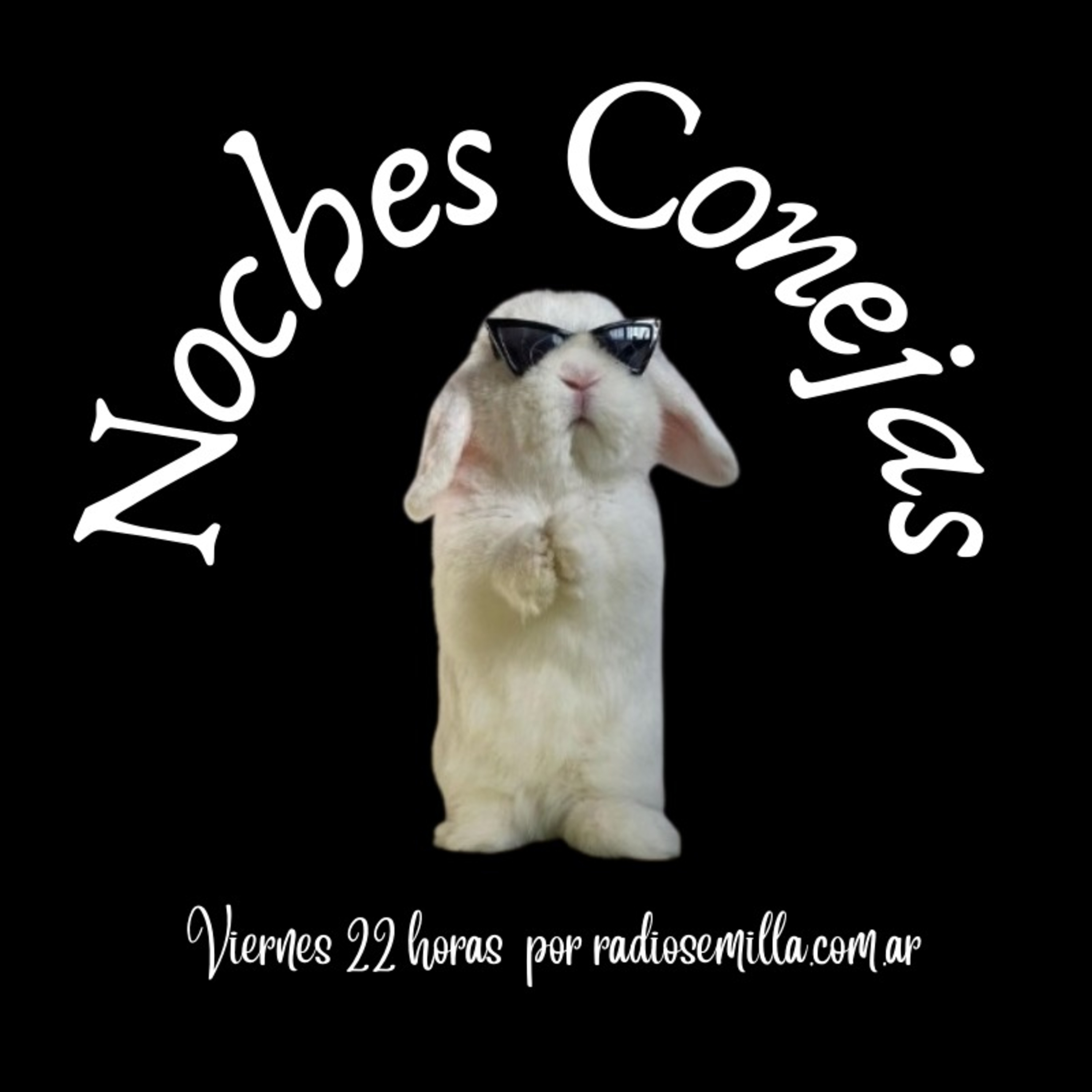 Noches Conejas