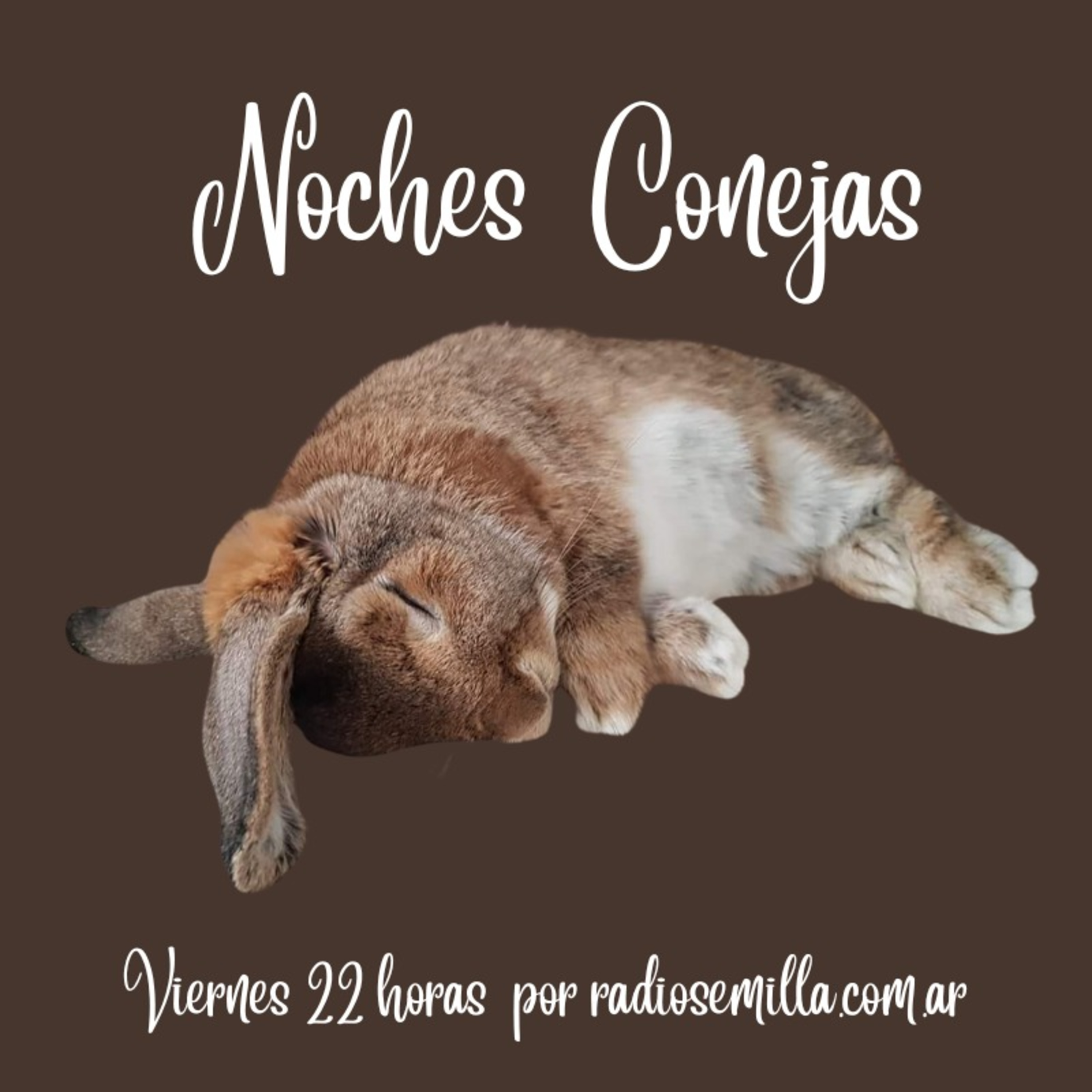 Noches Conejas