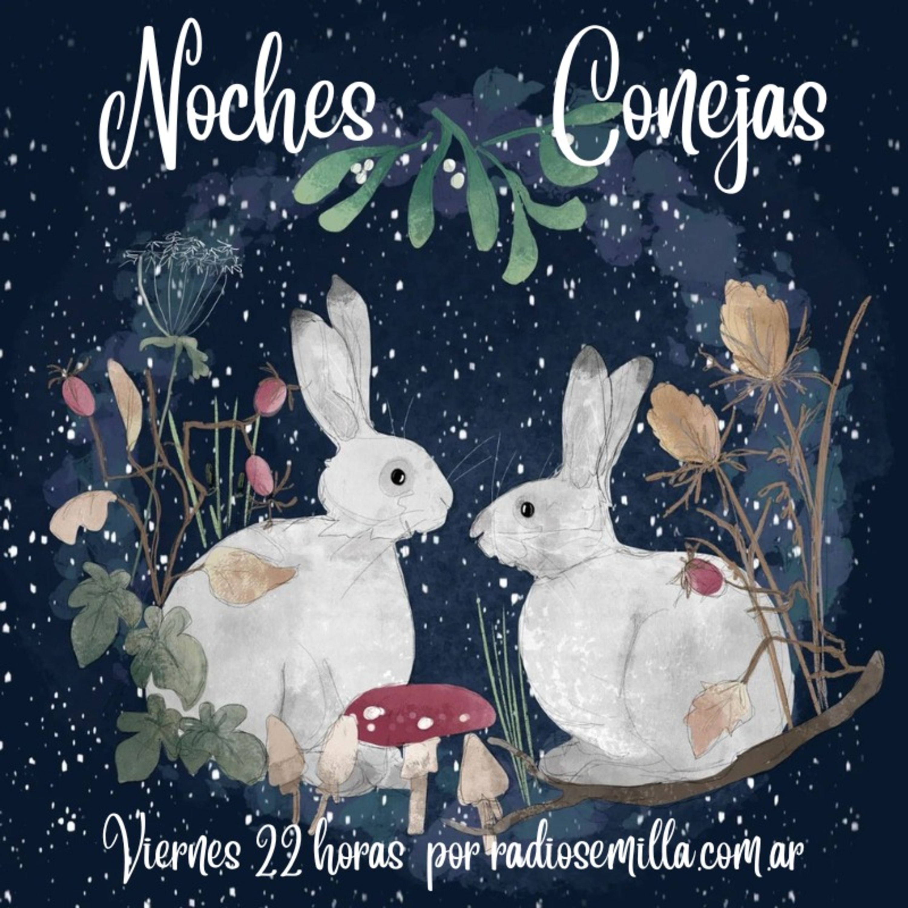 Noches Conejas