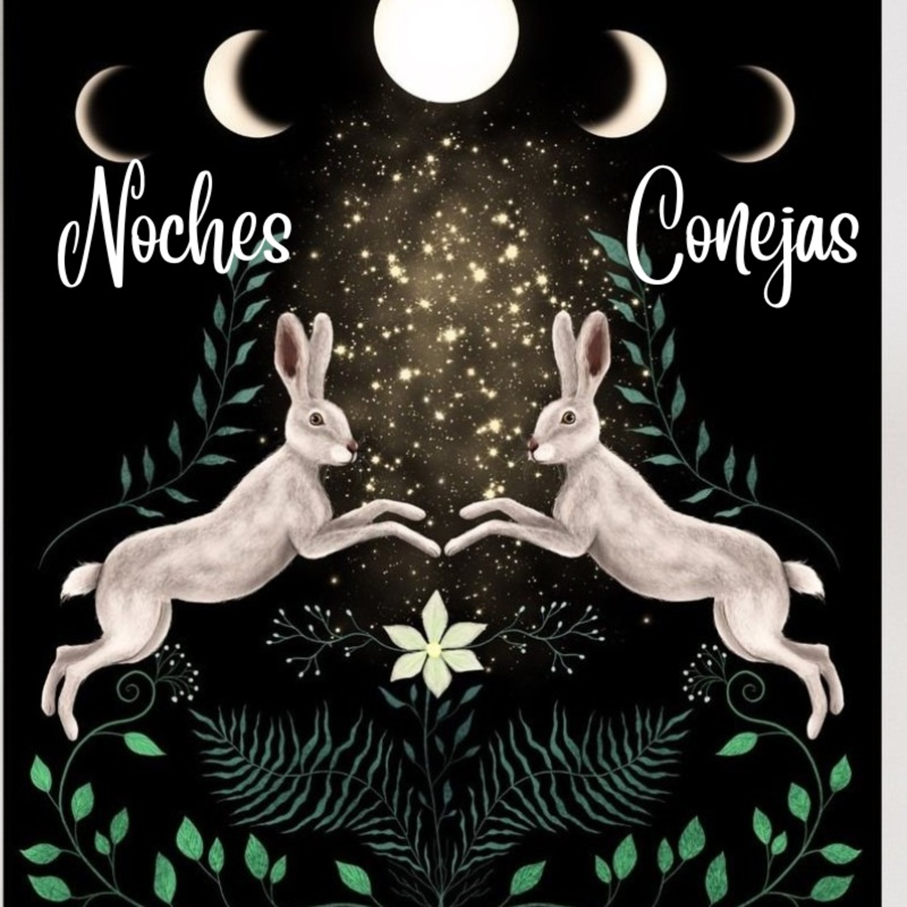 Noches Conejas