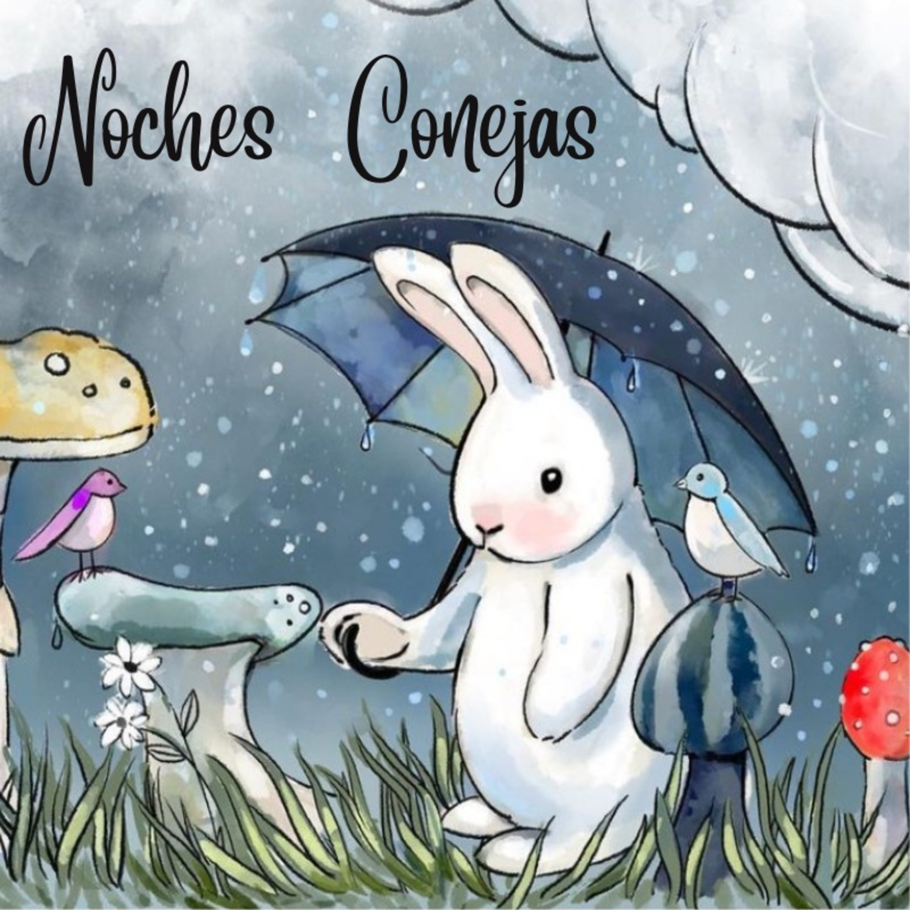 Noches Conejas
