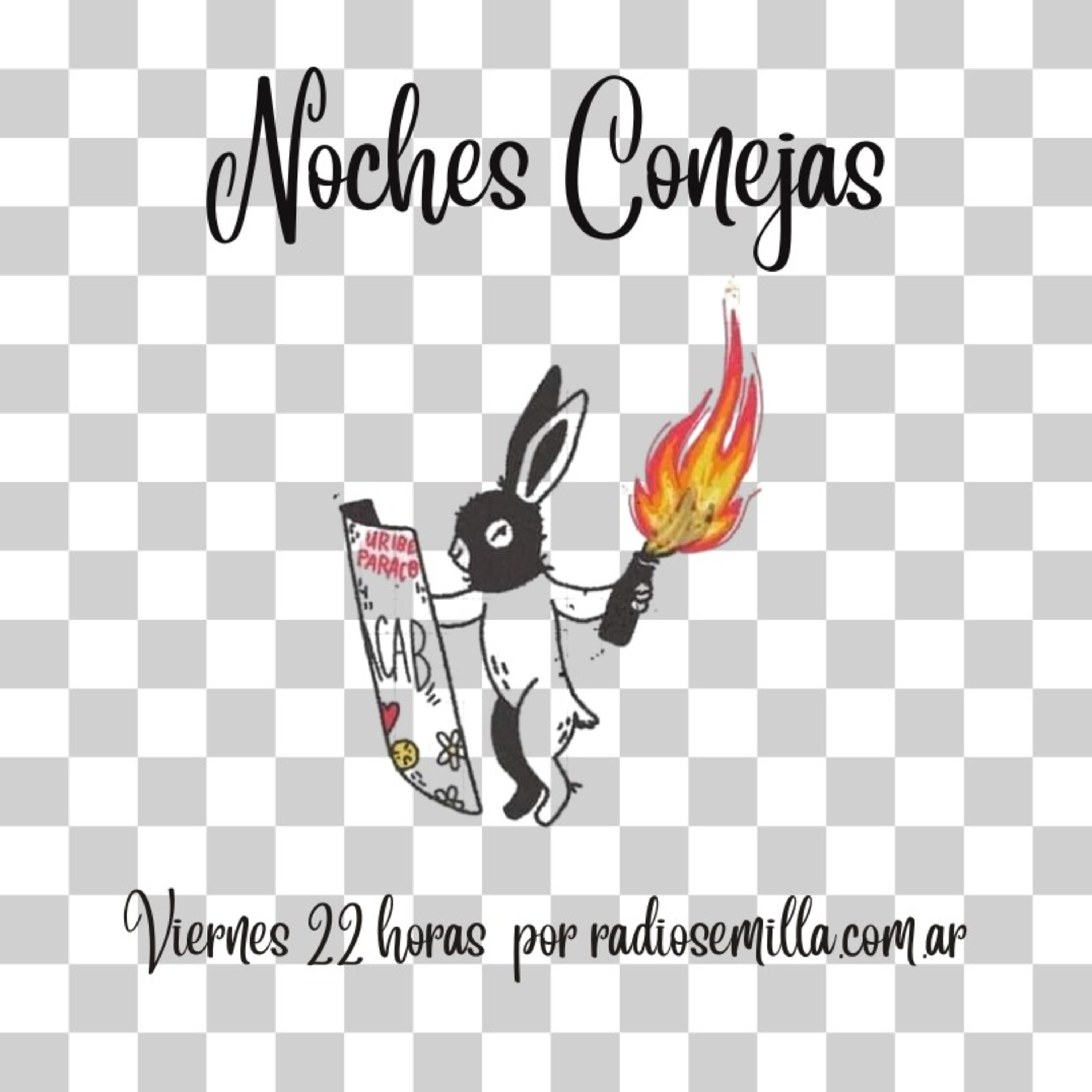 Noches Conejas