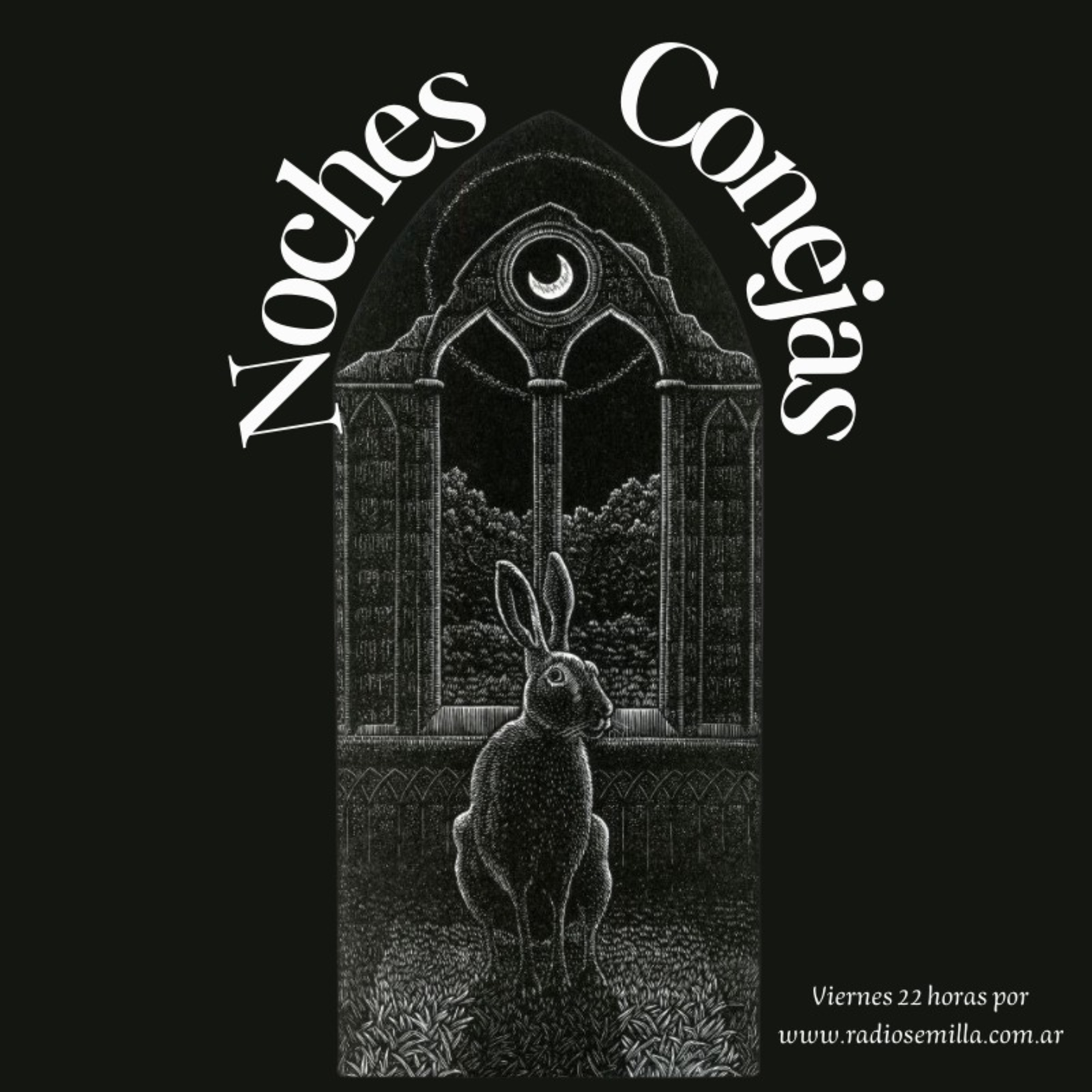 Noches Conejas