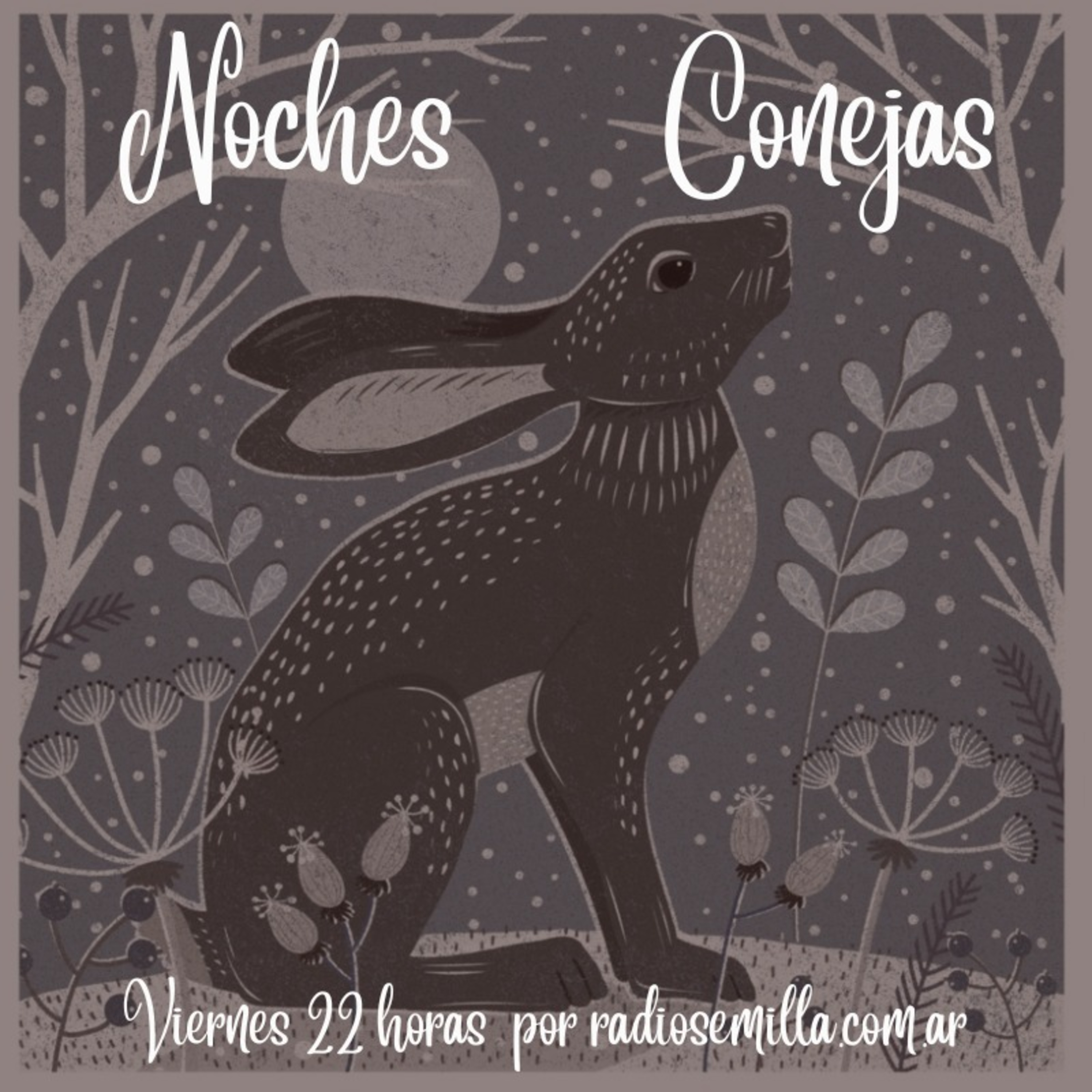Noches Conejas
