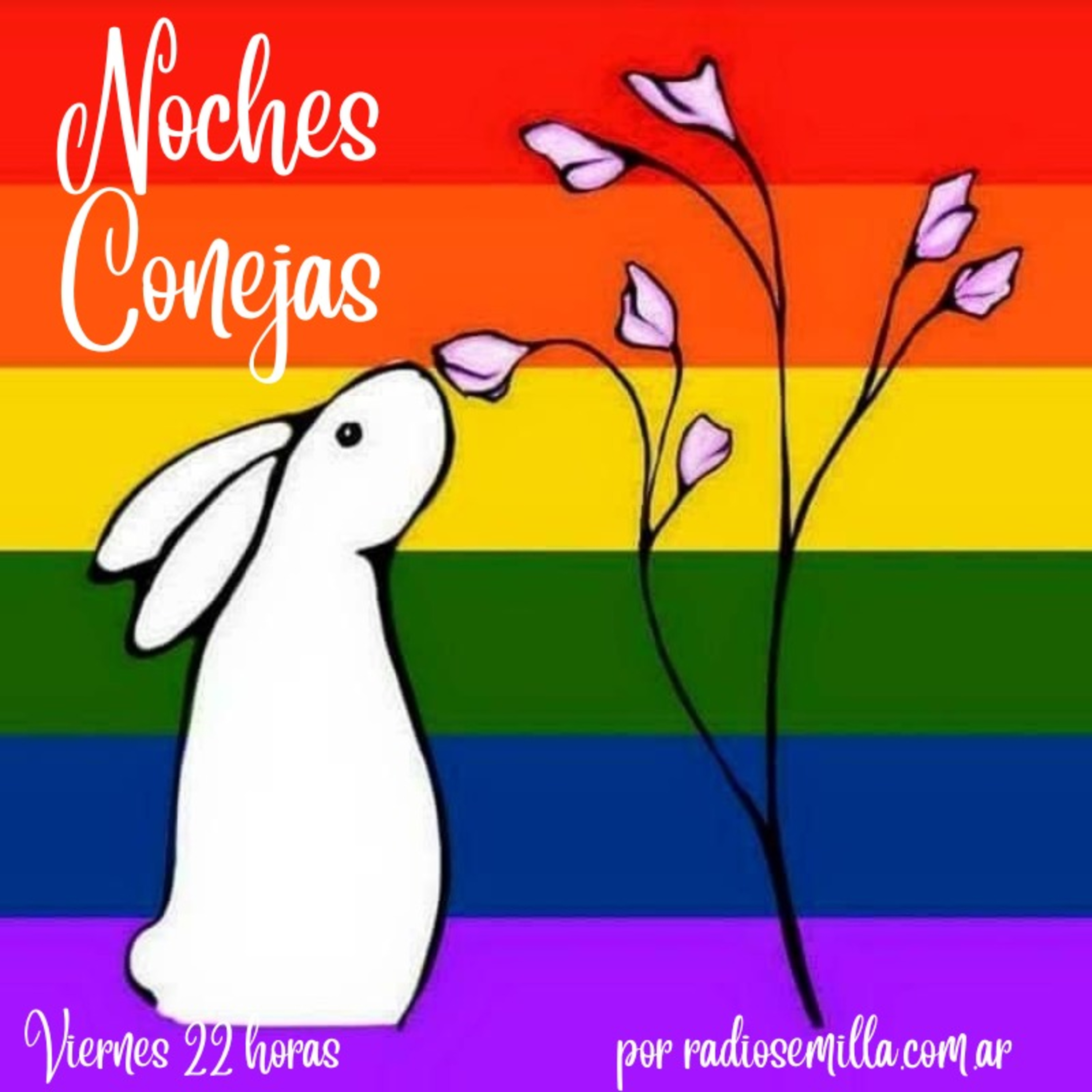Noches Conejas