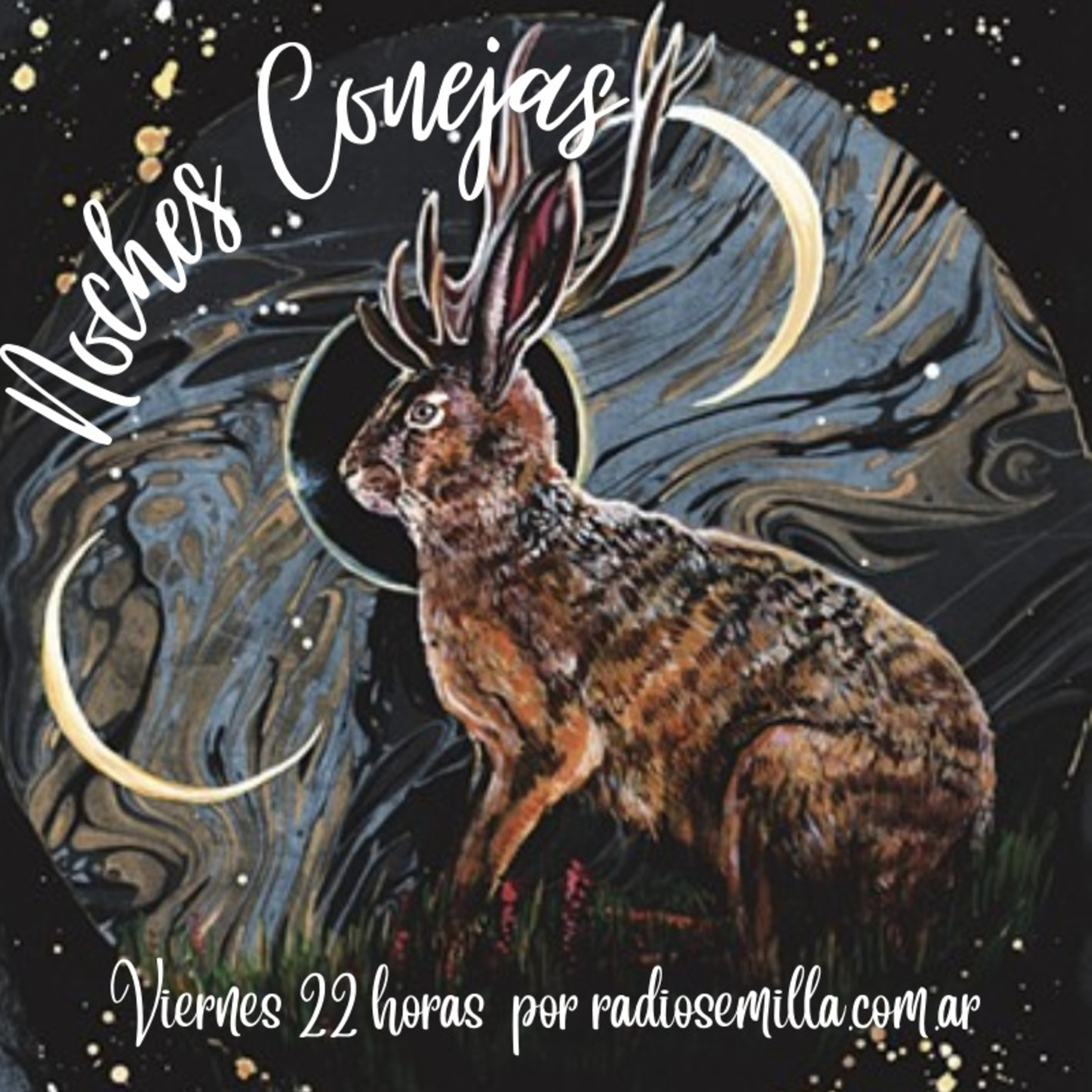 Noches Conejas