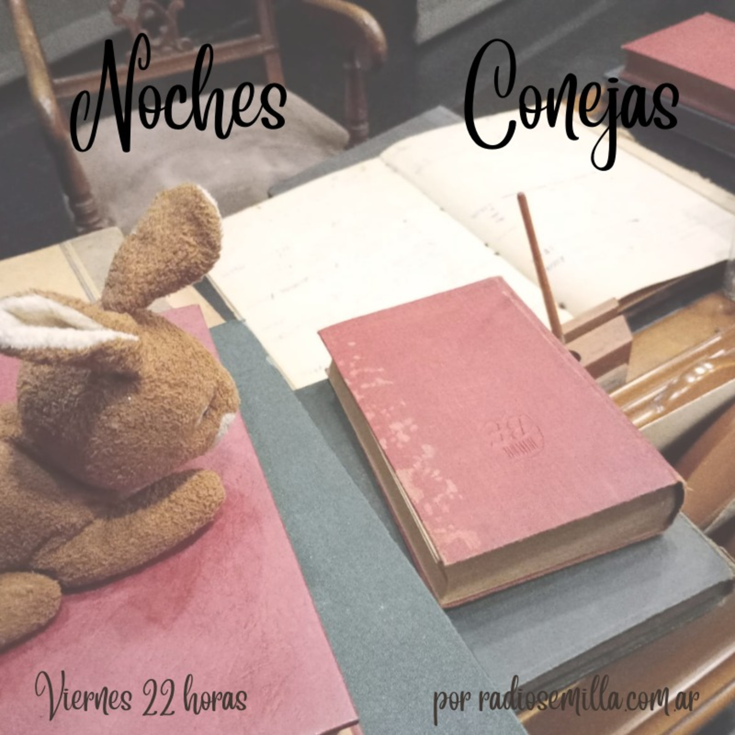 Noches Conejas