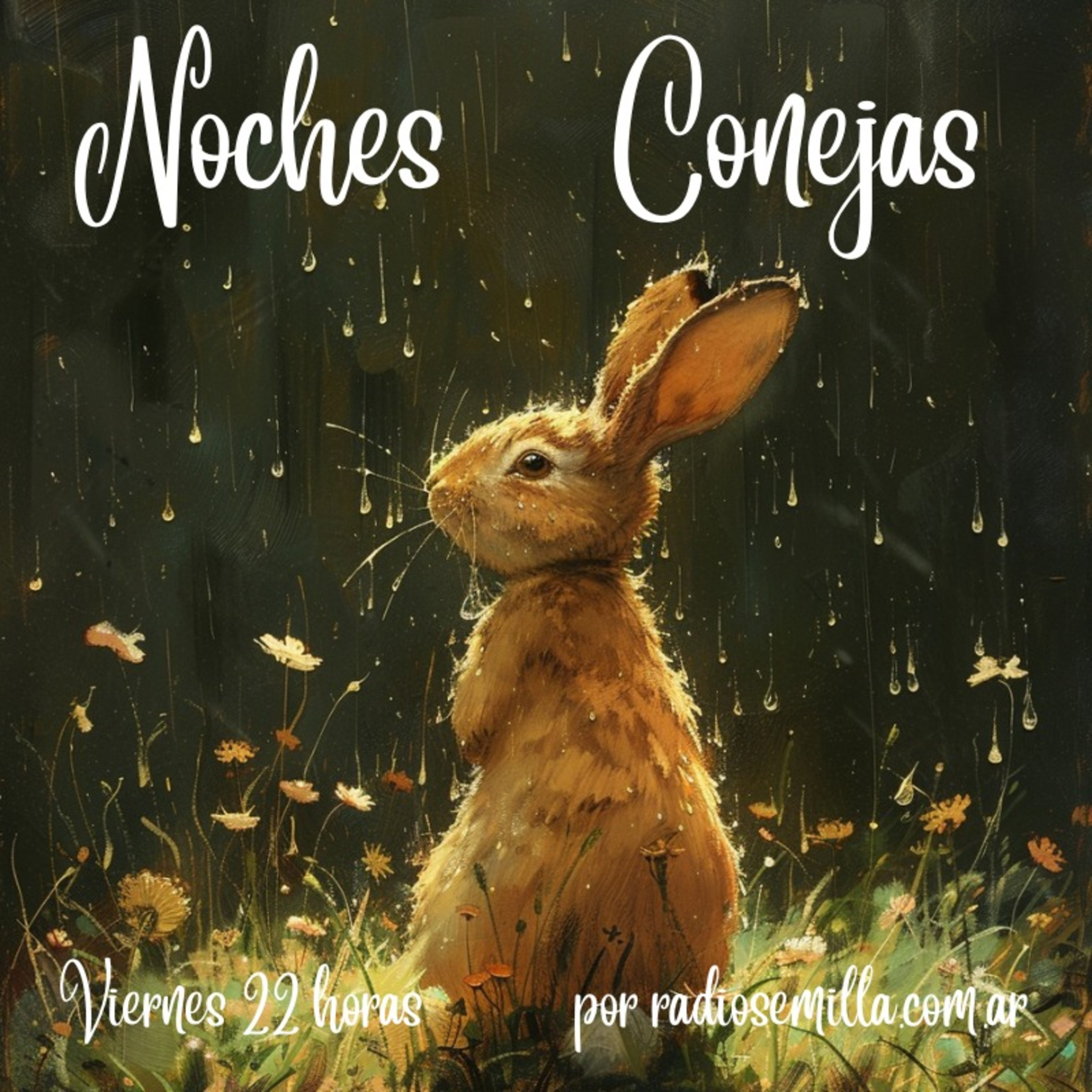 Noches Conejas