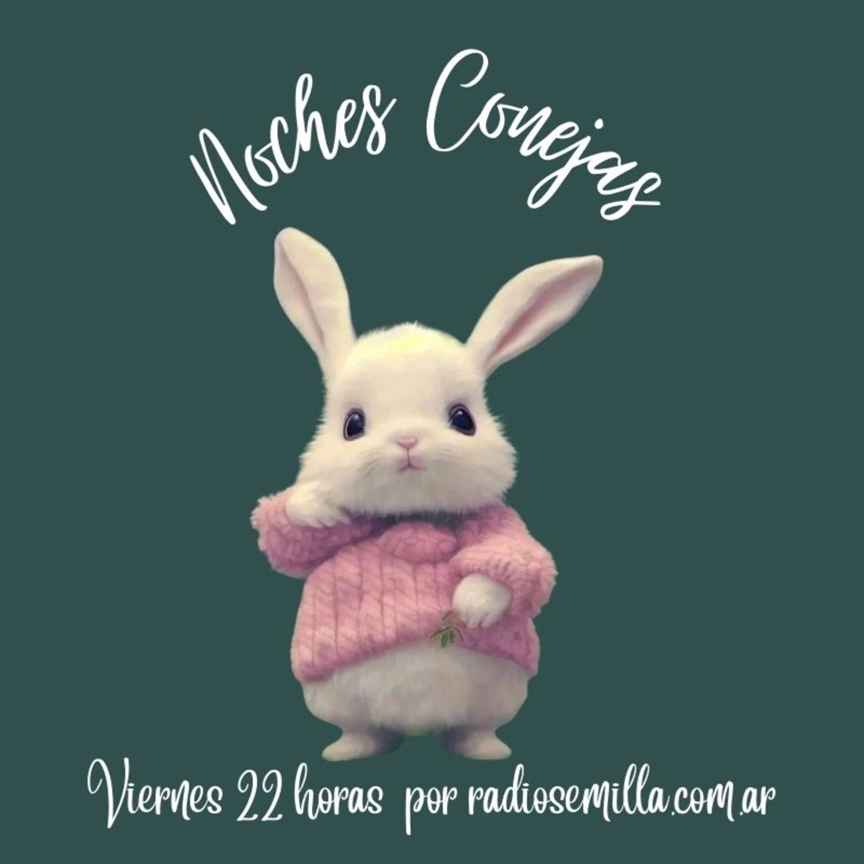 Noches Conejas