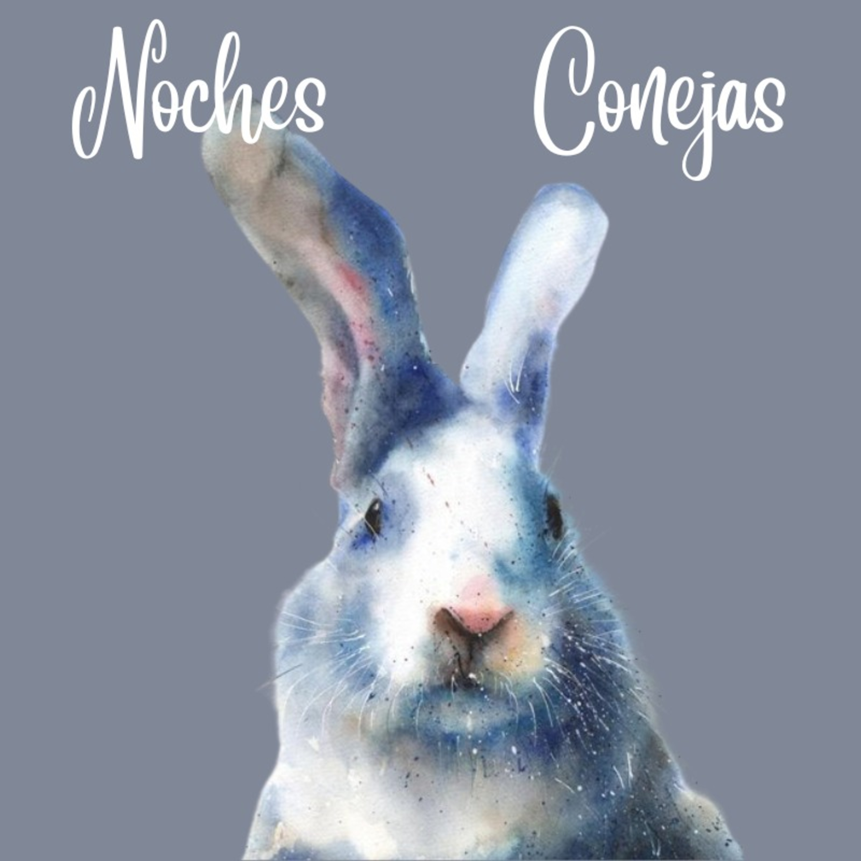 Noches Conejas