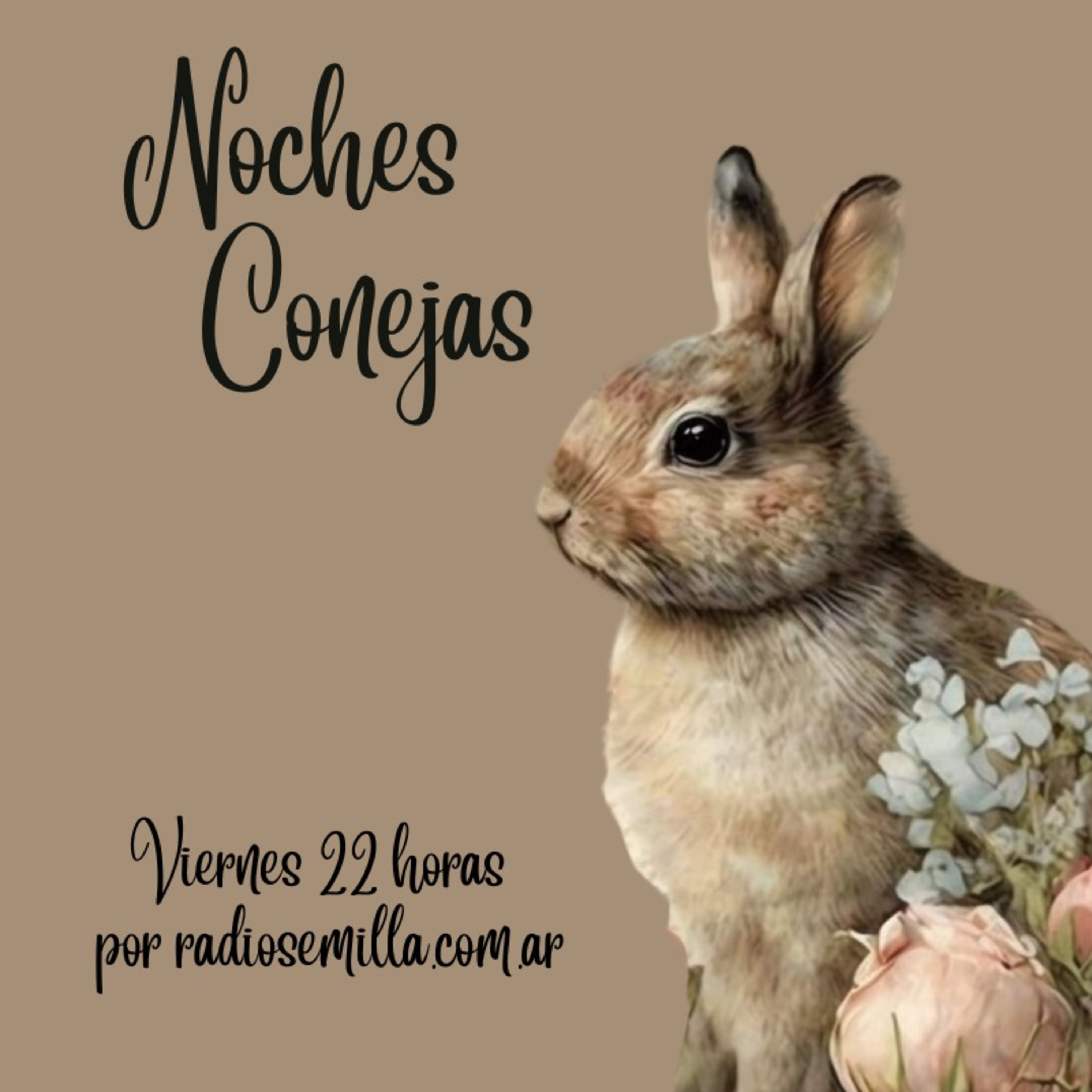 Noches Conejas