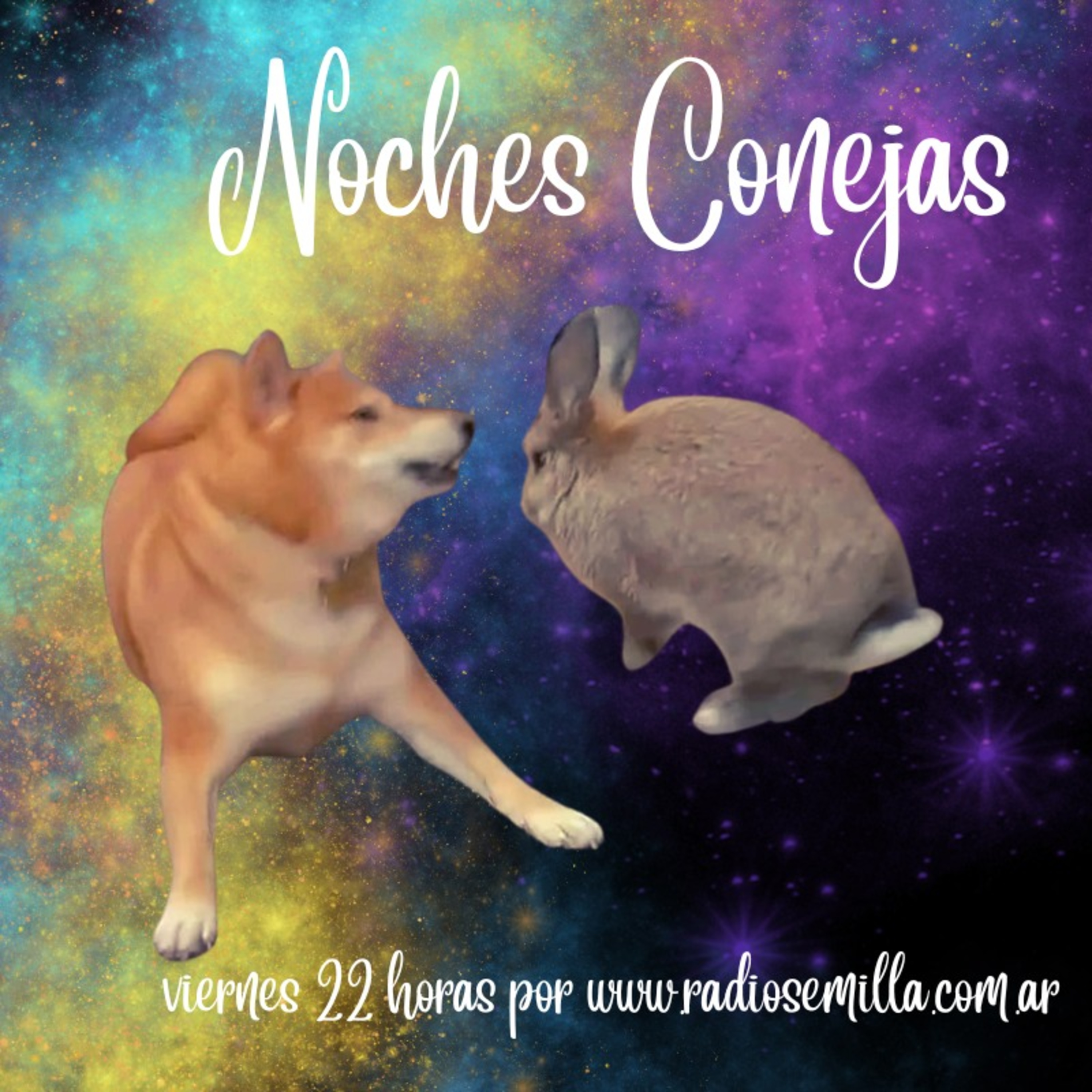 Noches Conejas