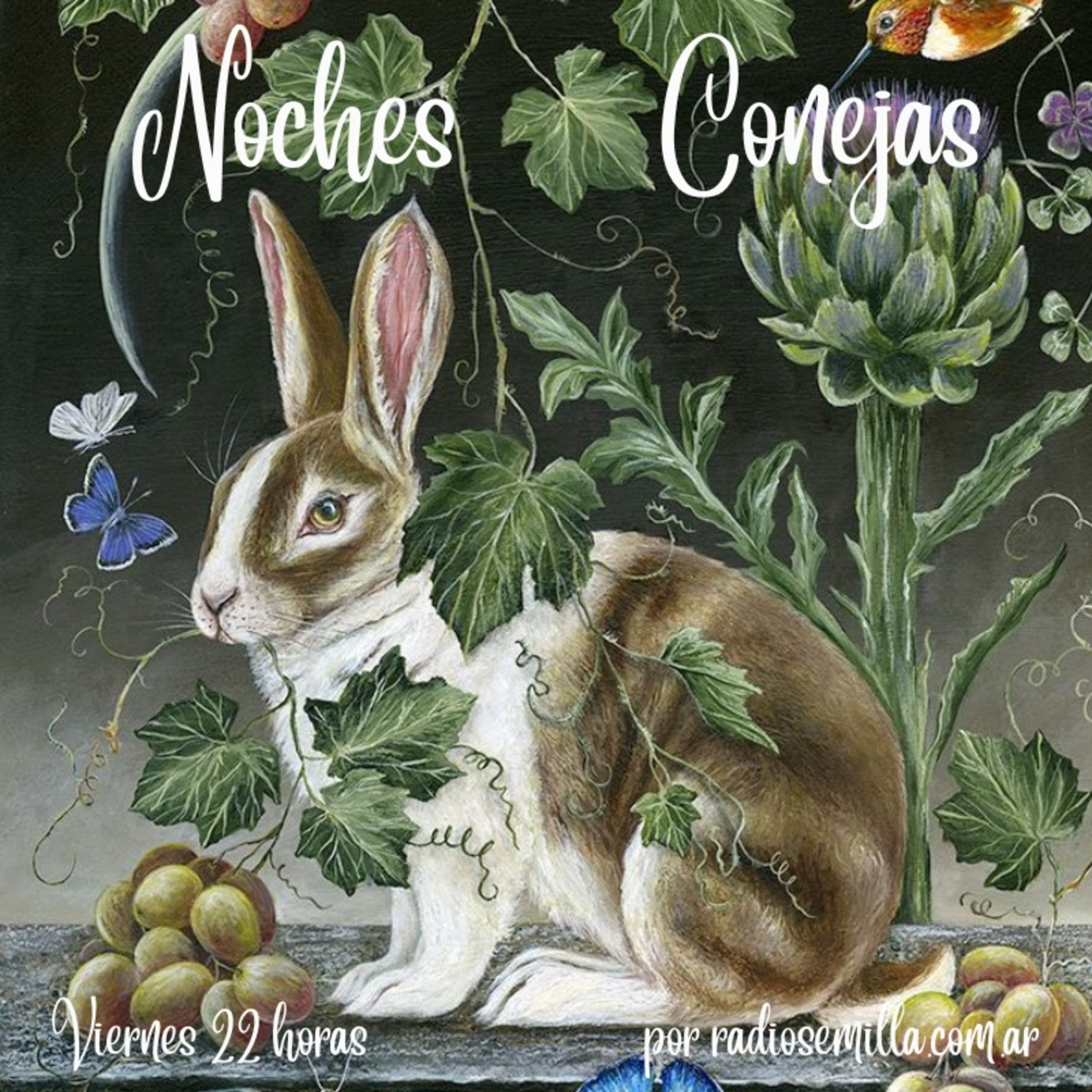 Noches Conejas