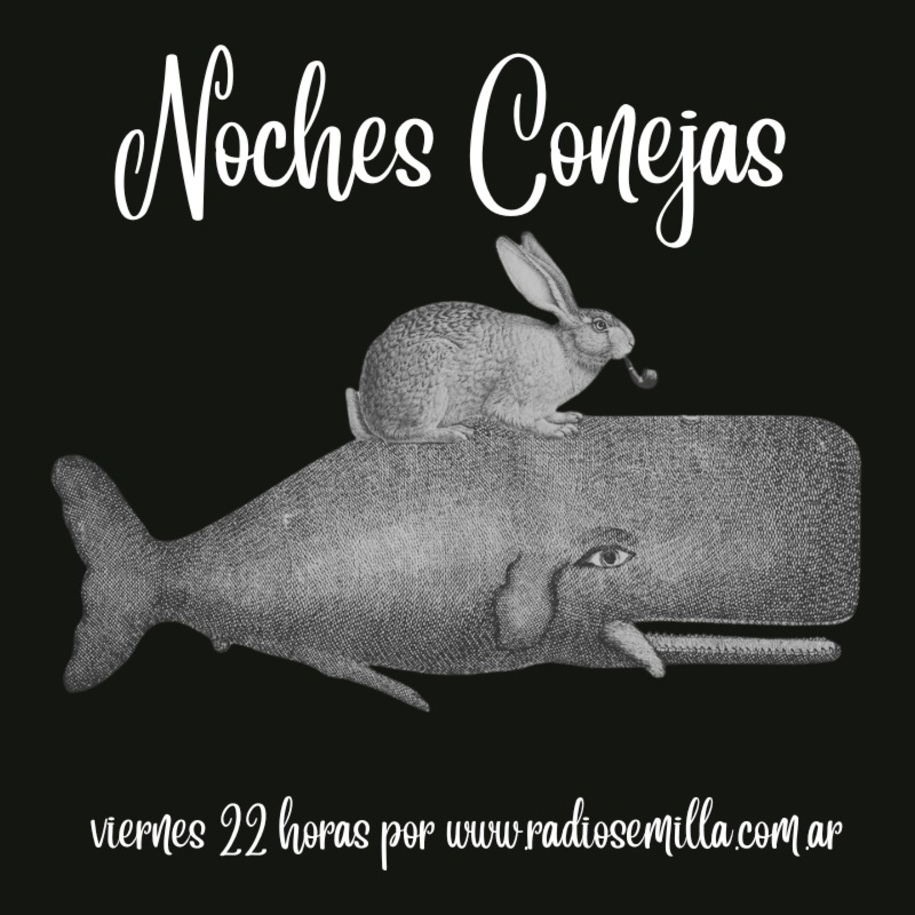 Noches Conejas