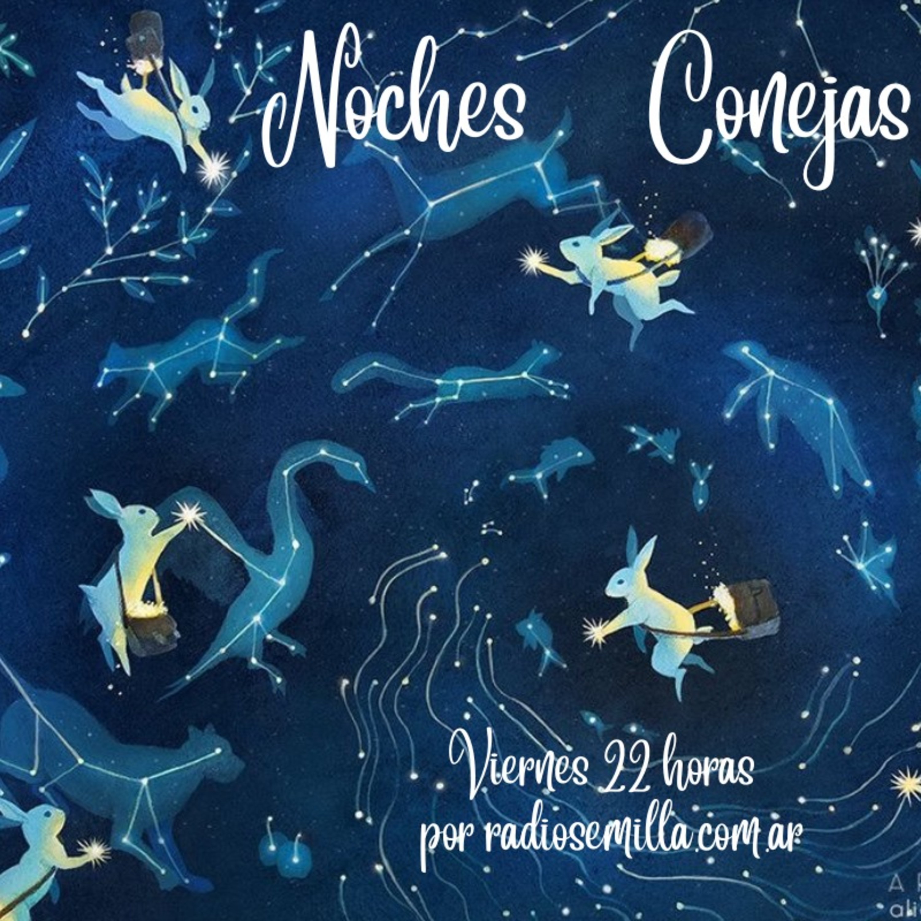 Noches Conejas