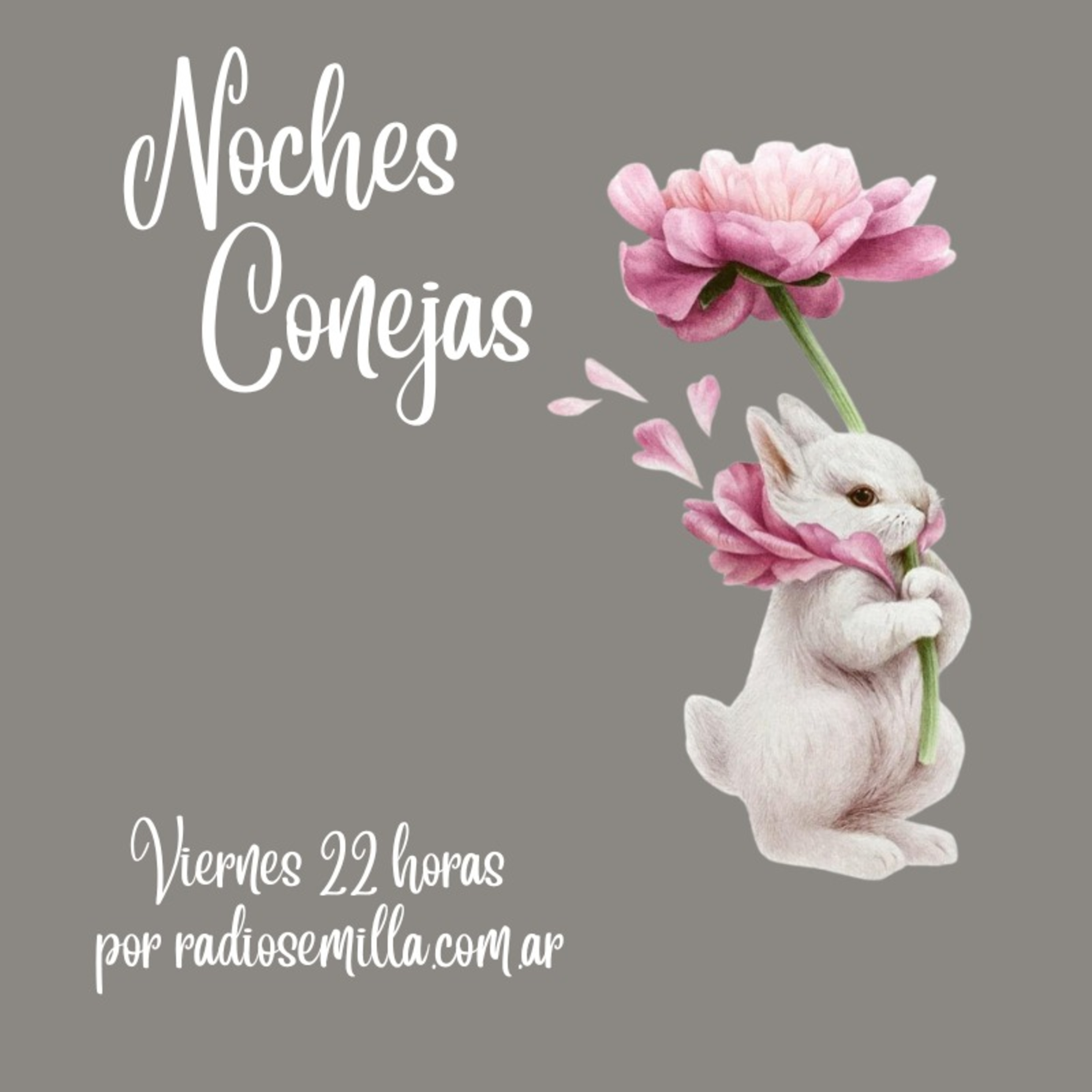 Noches Conejas
