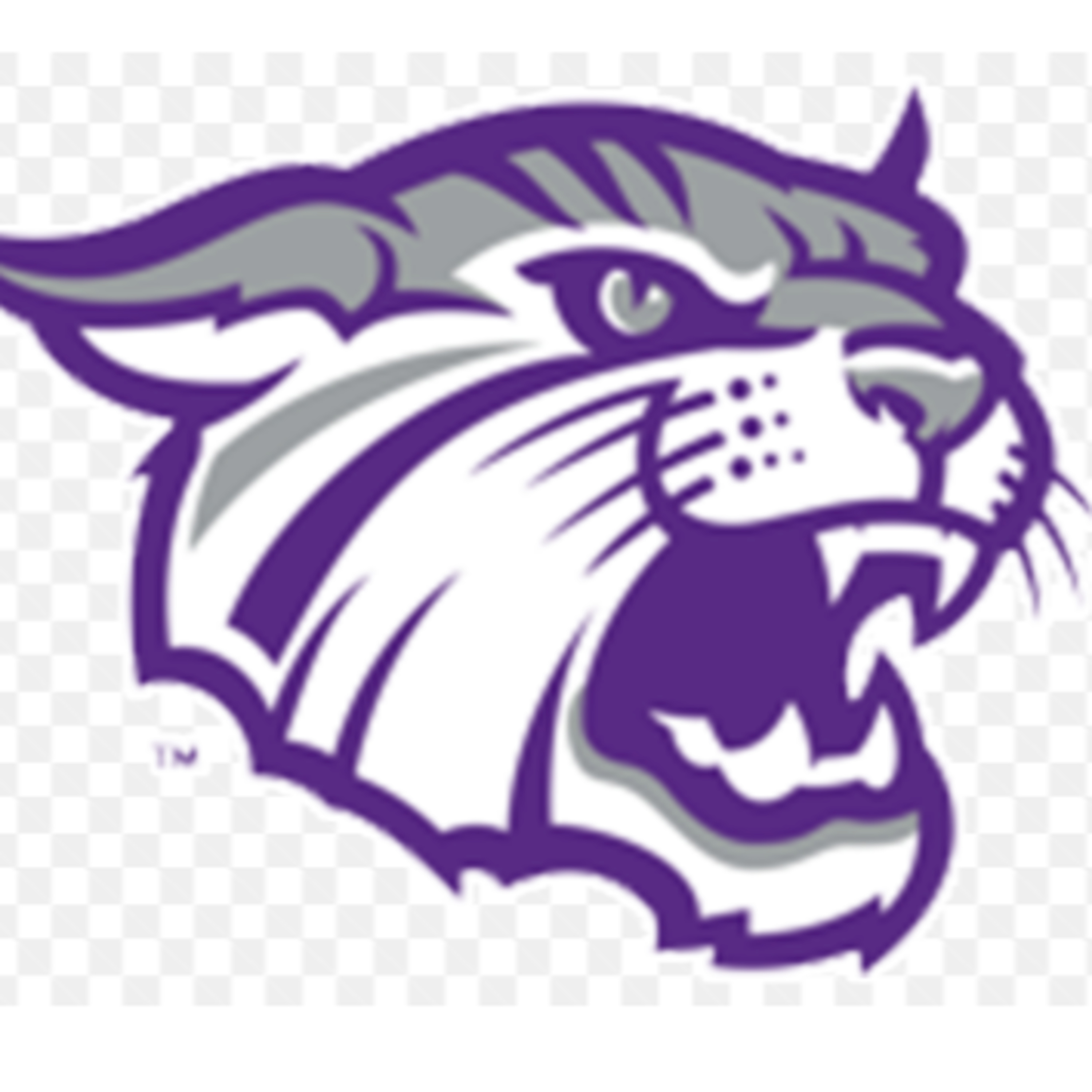 Goodhue Coaches Corner with Race Roth  episode artwork