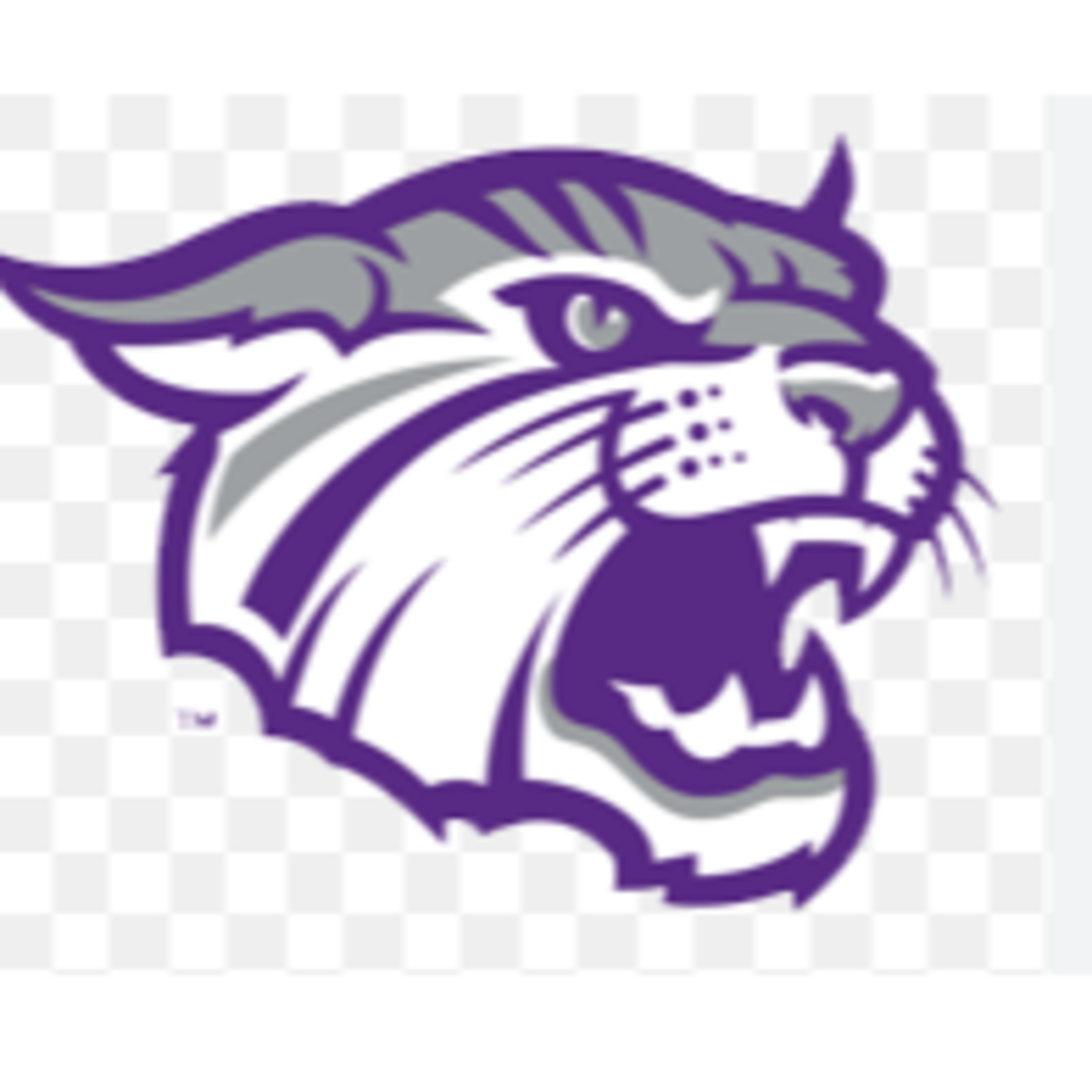 Wildcats Coaches Corner - October 5th, 2024 episode artwork