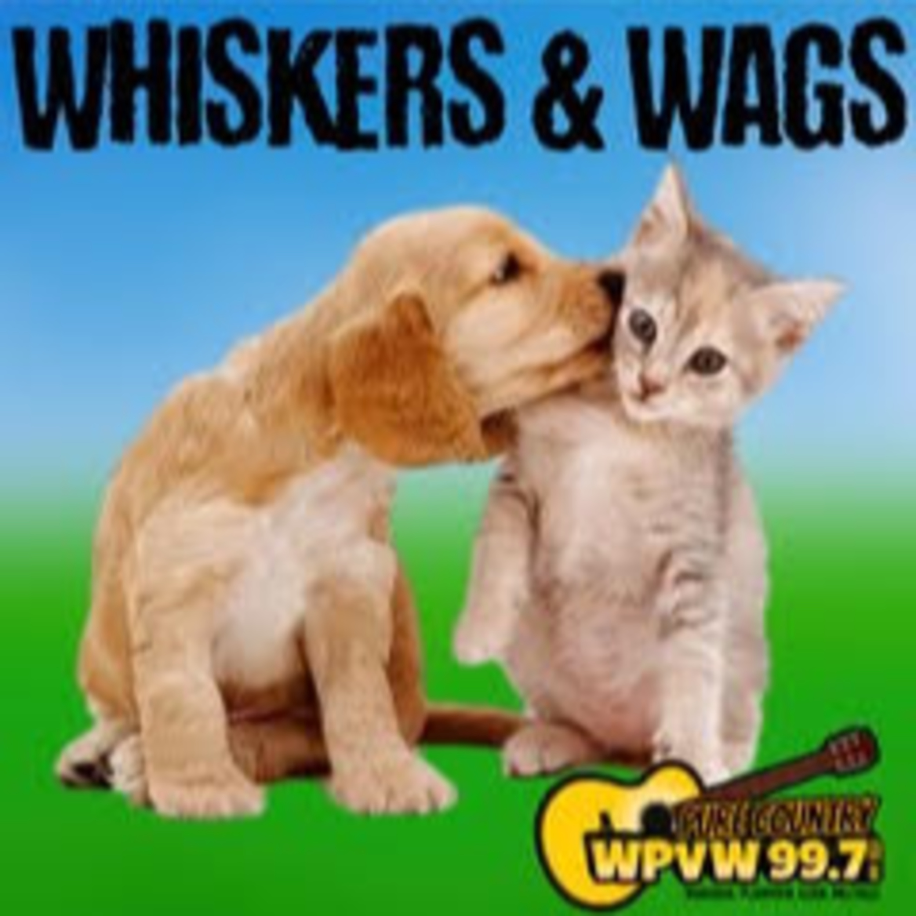 Whiskers and Wags 4.2.25 episode artwork