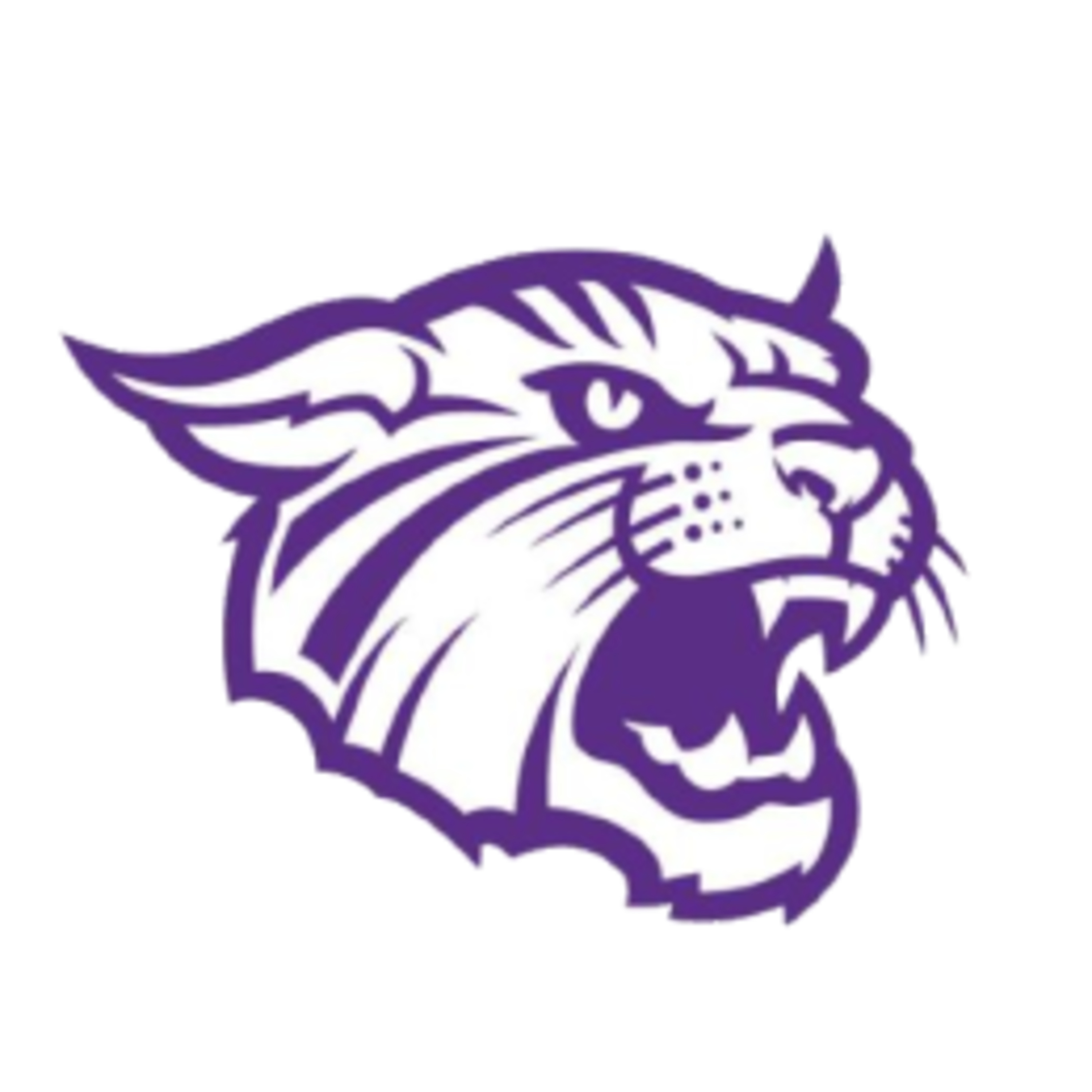 Goodhue Coaches Corner 11.15.25 episode artwork