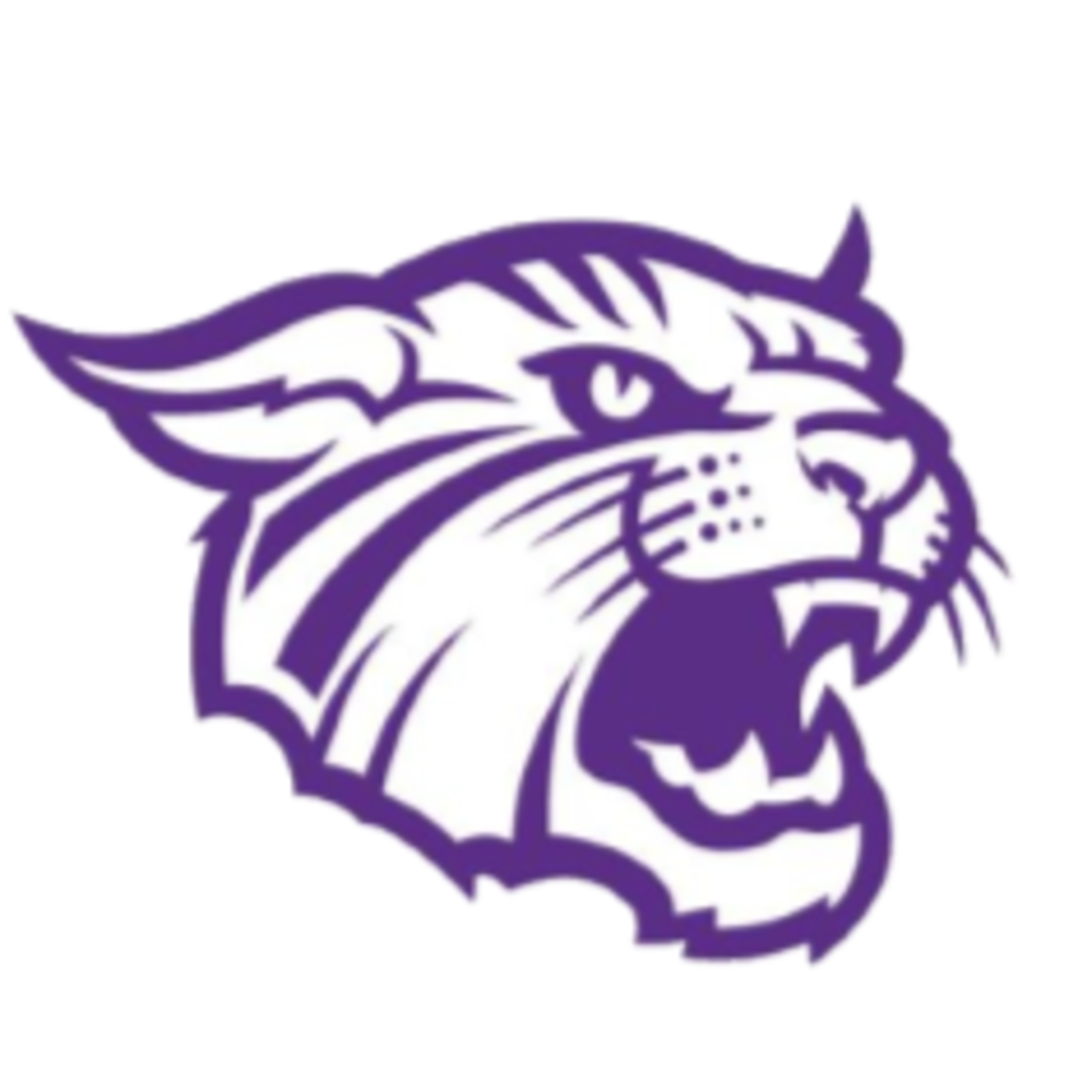 Goodhue Coaches Corner 9.5.26 episode artwork