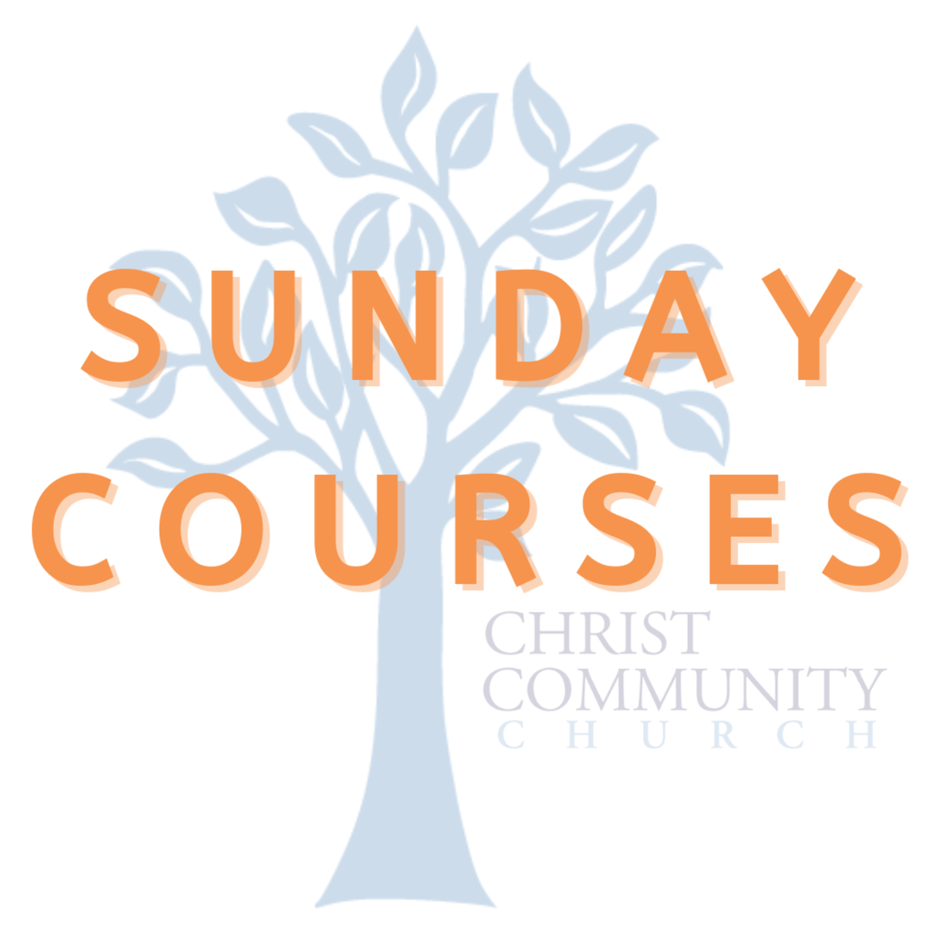 Christ Community Church (Johnson City, TN)