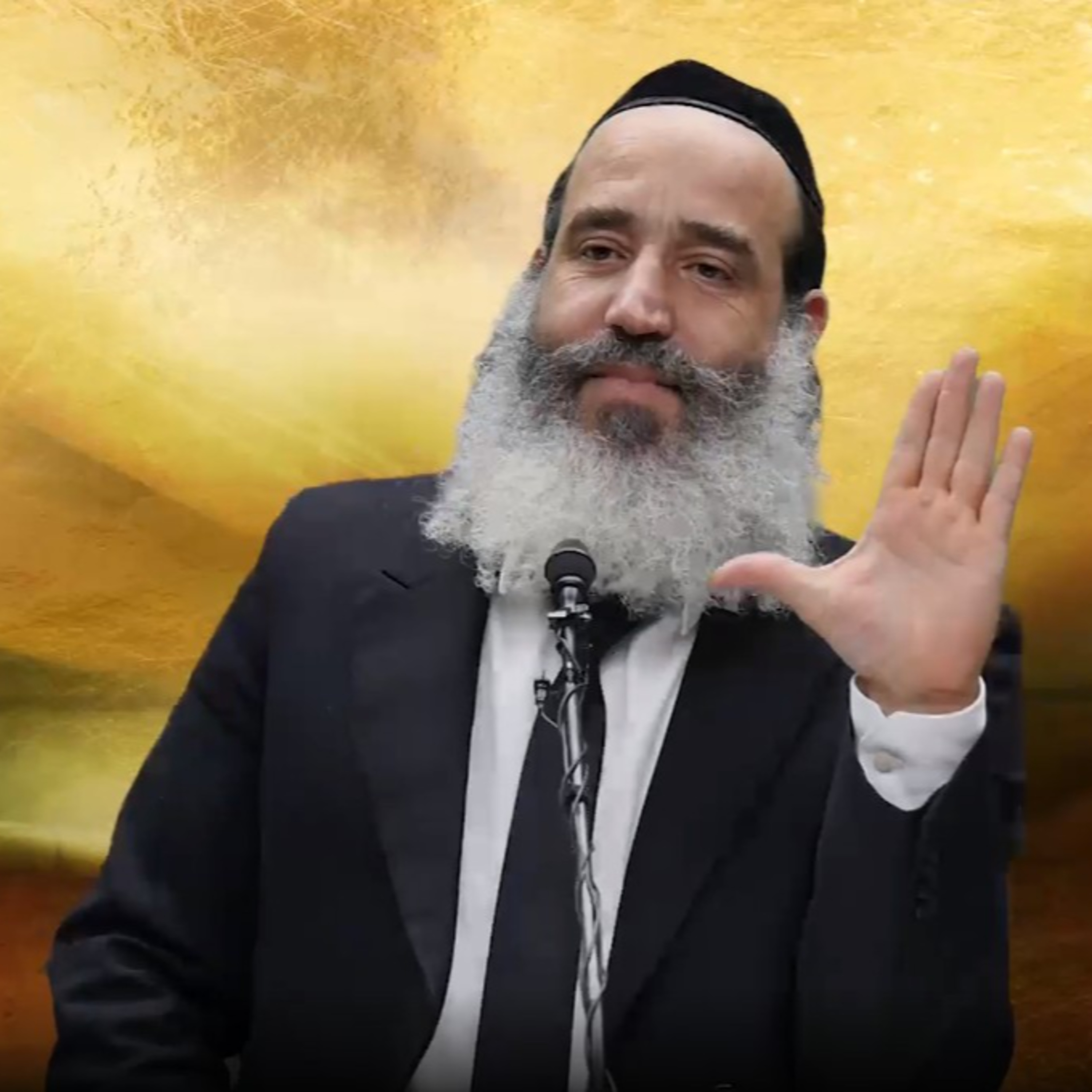הרב יצחק פנגר - מודל כף היד episode artwork